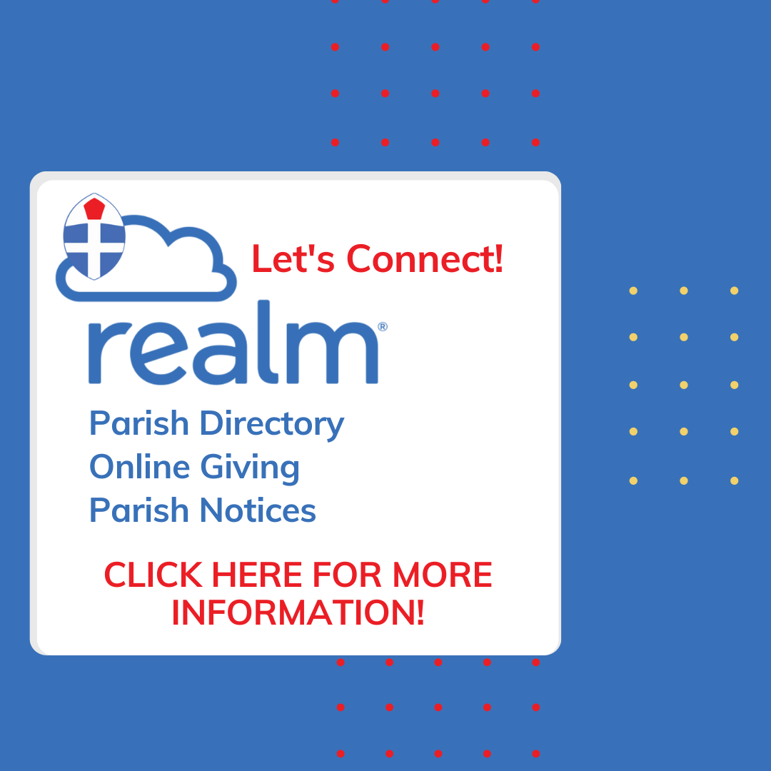Realm homepage image.png