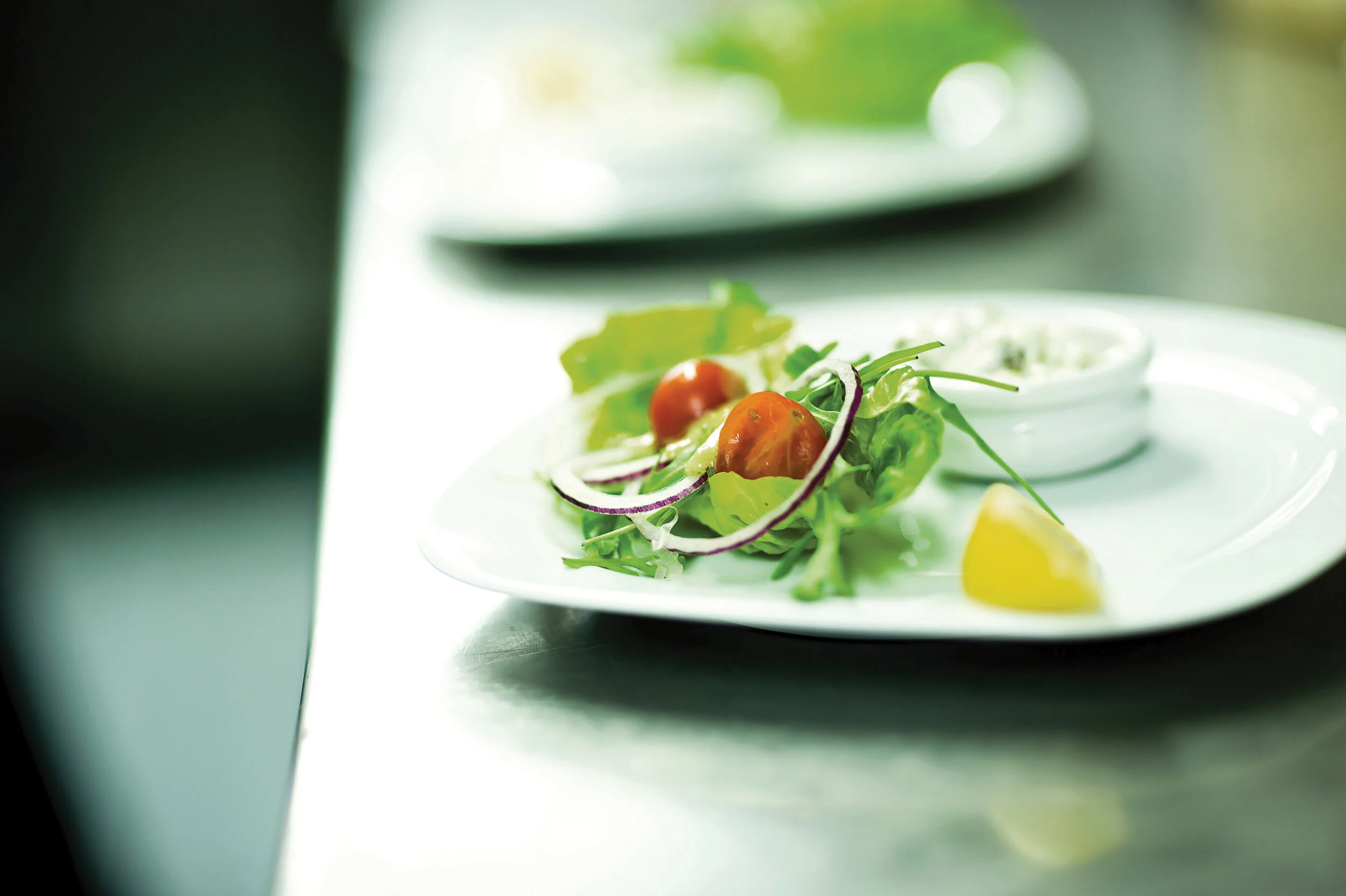 MikeTulipWebsitePhotoCaseStudies-4.jpg