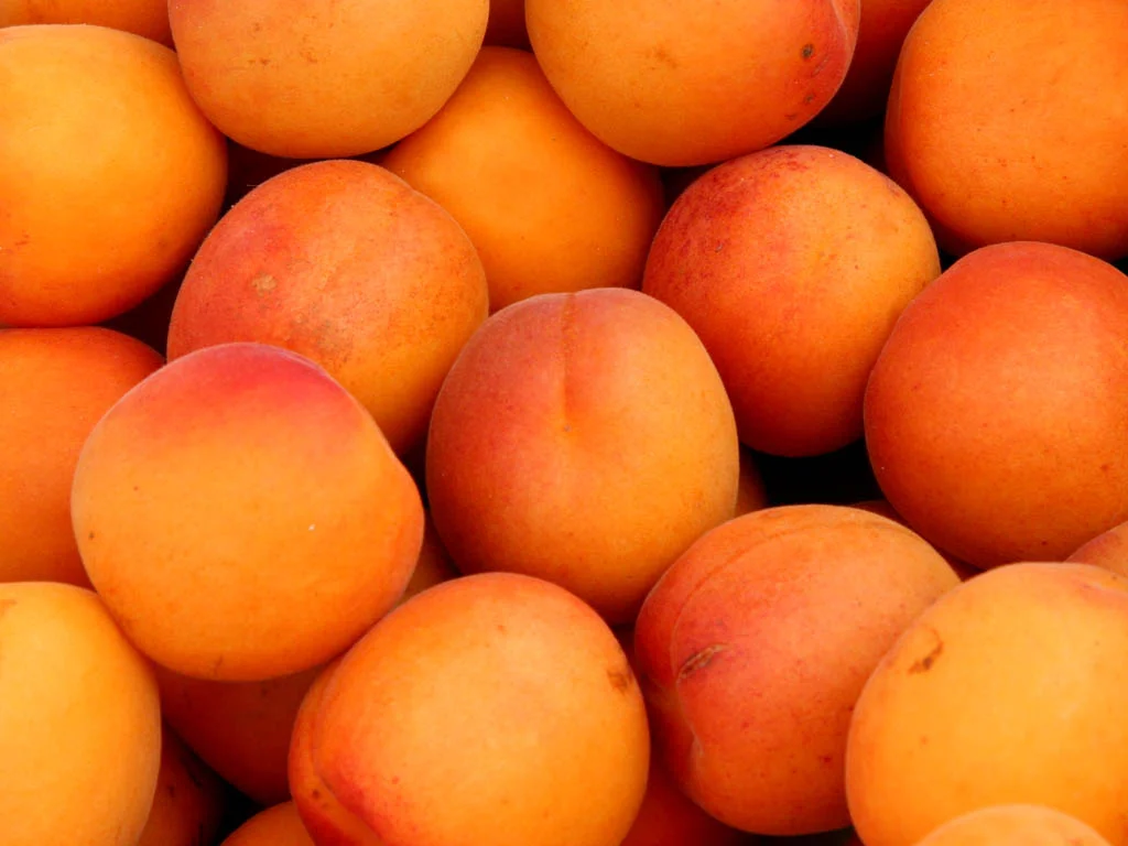 Apricot