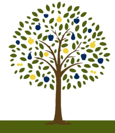 Fruit Tree Selection Workshop