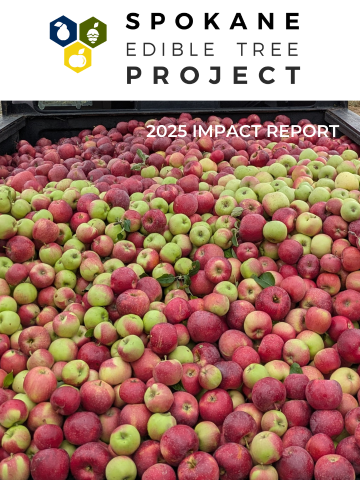 2025 Annual Report