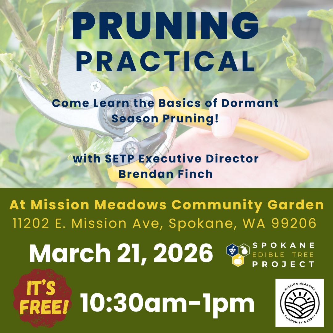 Pruning Practical With SETP Director Brendan Finch!