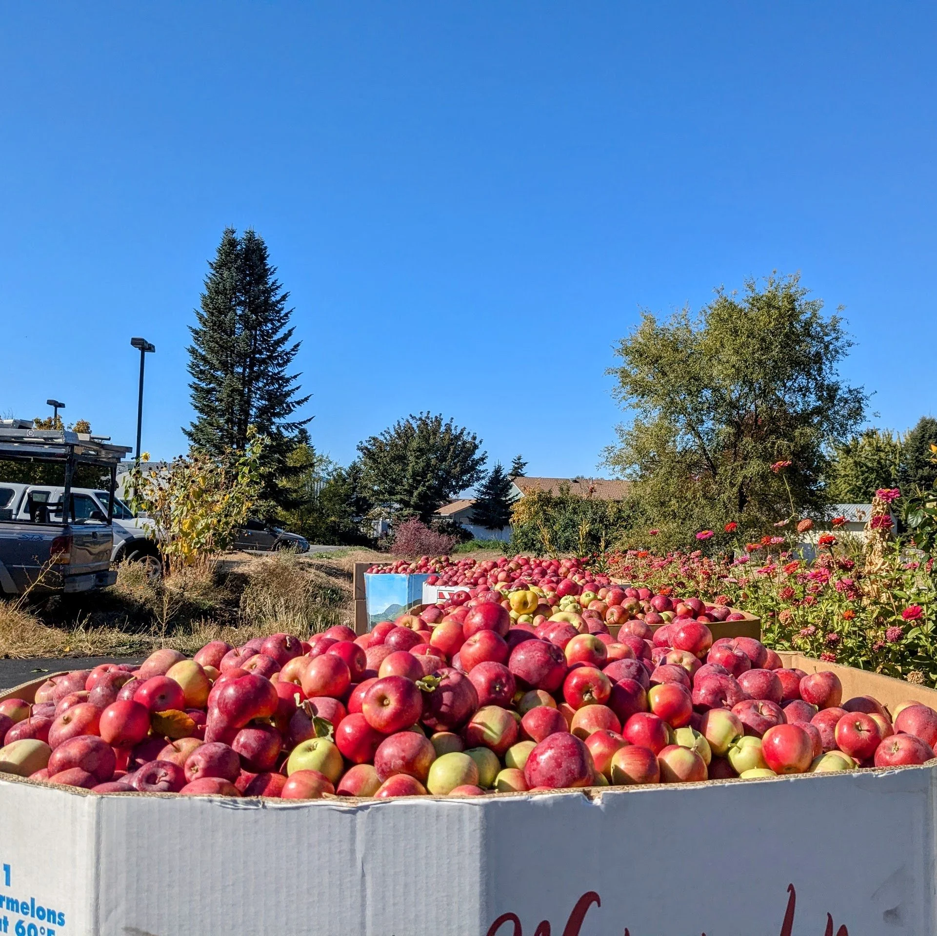 Resurrection Episcopal Community Orchard Glean