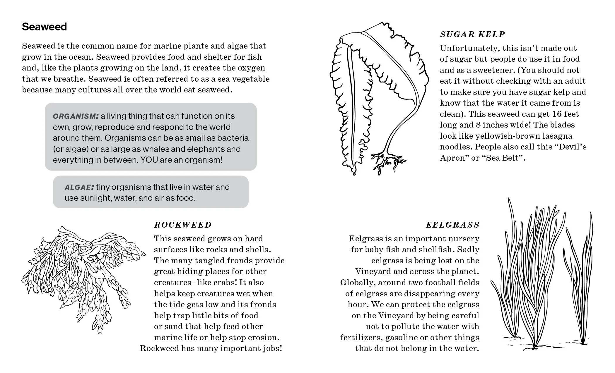 1. Intro - Beaches EDIT2.jpg