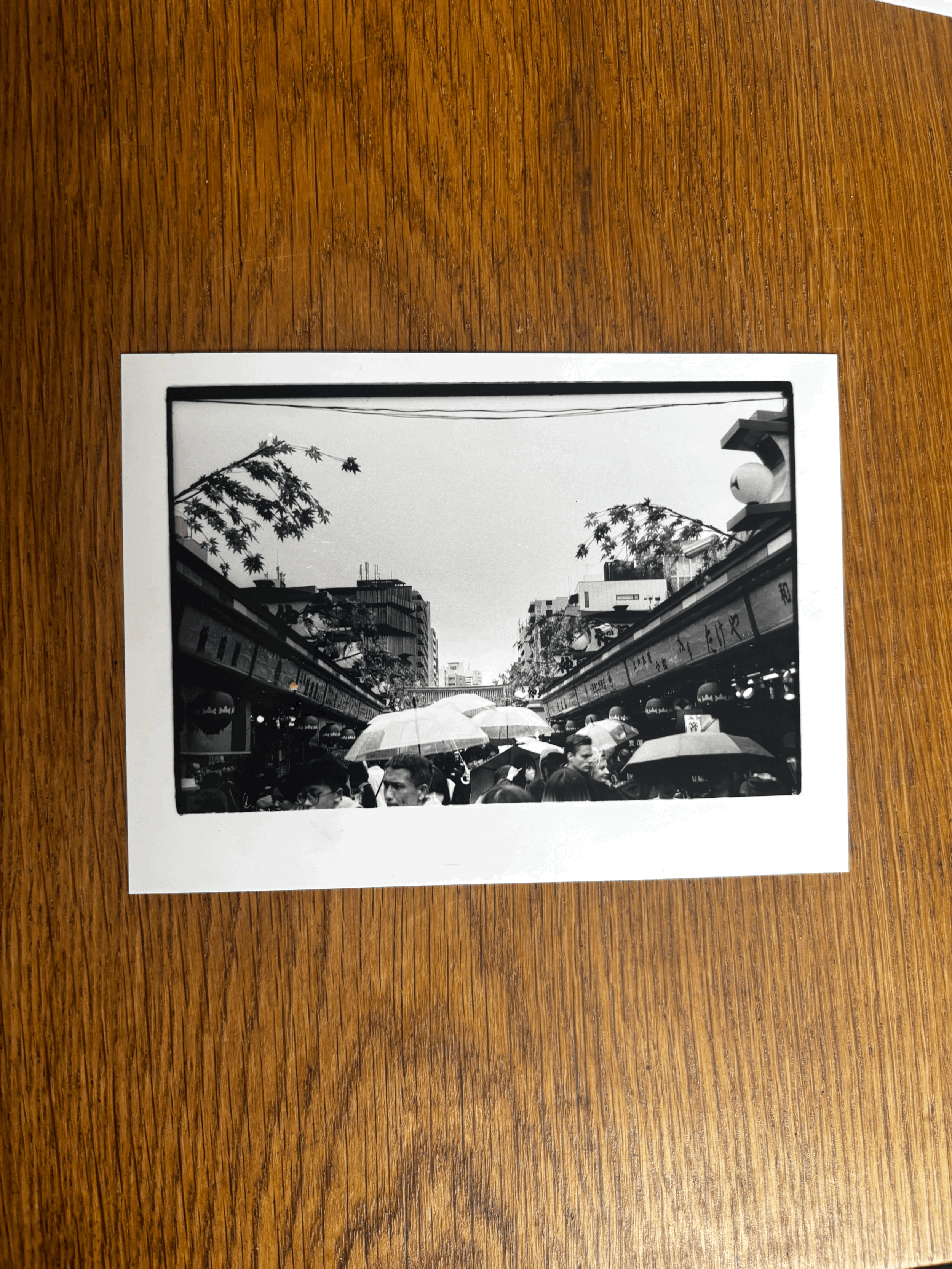 Tokyo Umbrellas 3 5x6in