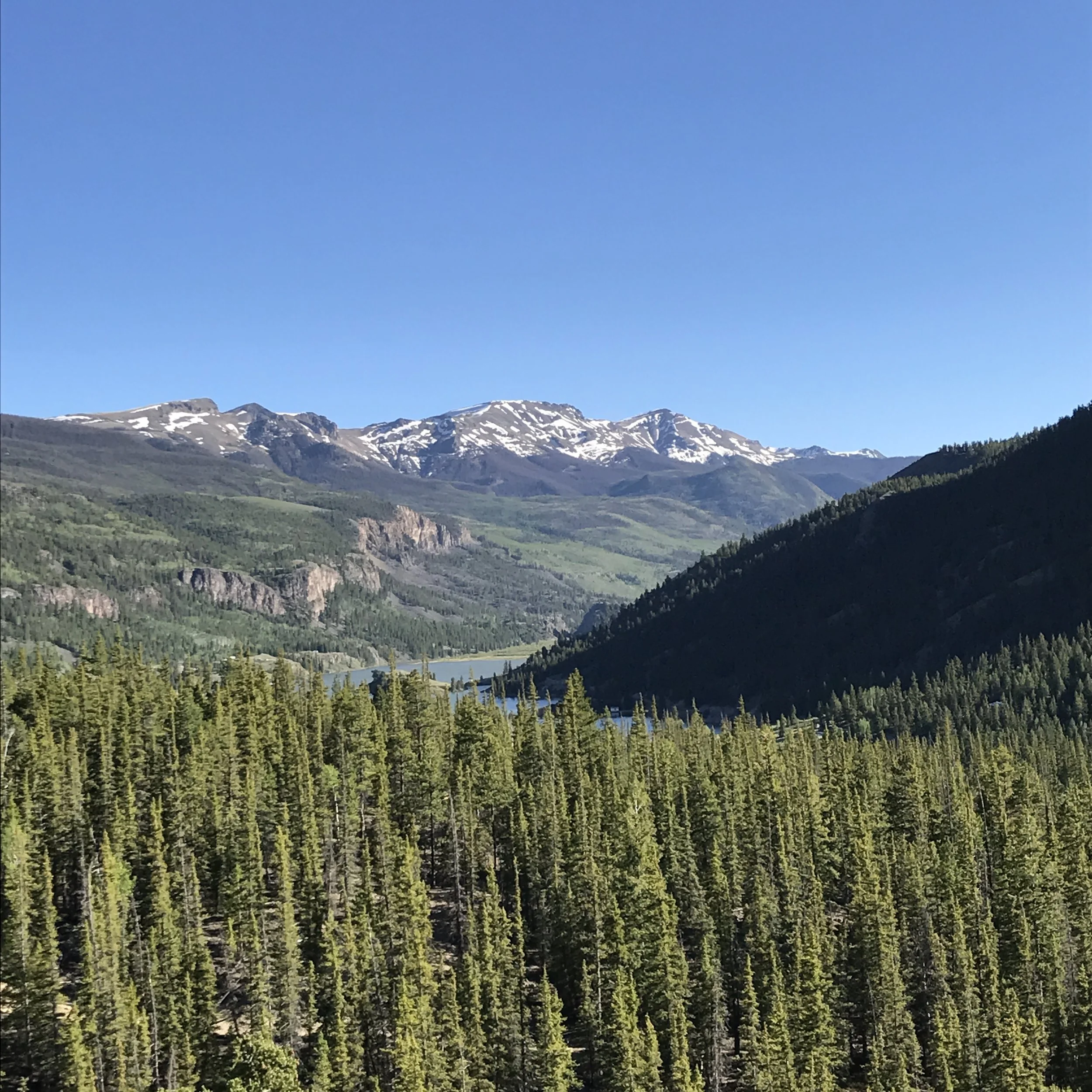 C7037601-F98E-4F7B-ADC9-E19C8FBDBCF4.jpeg