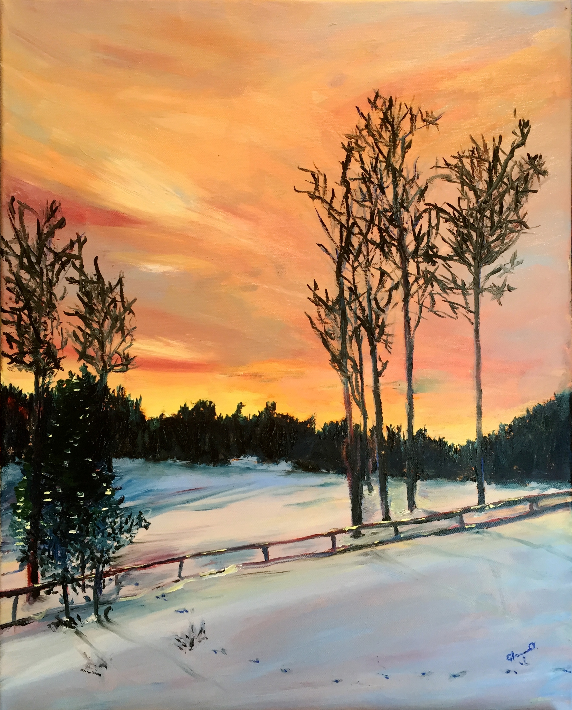 NORTH ROUTT WINTER