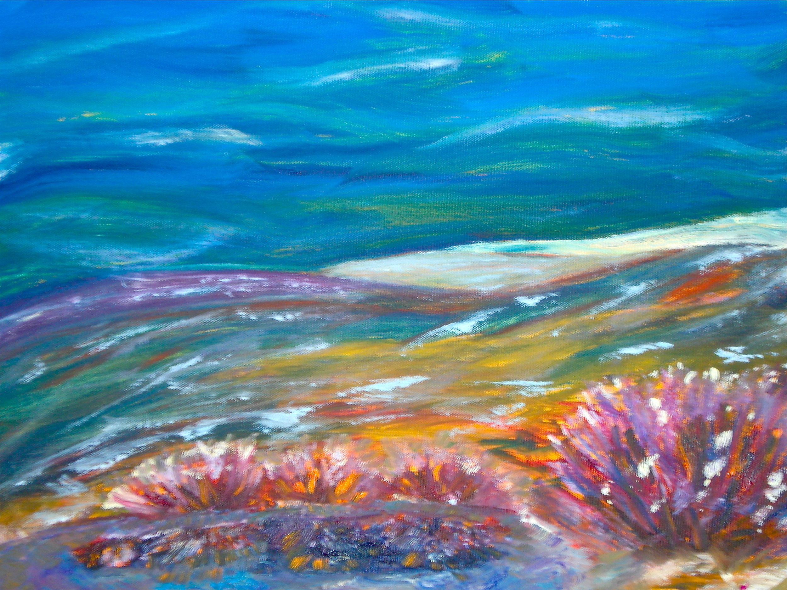 WIND SWEPT