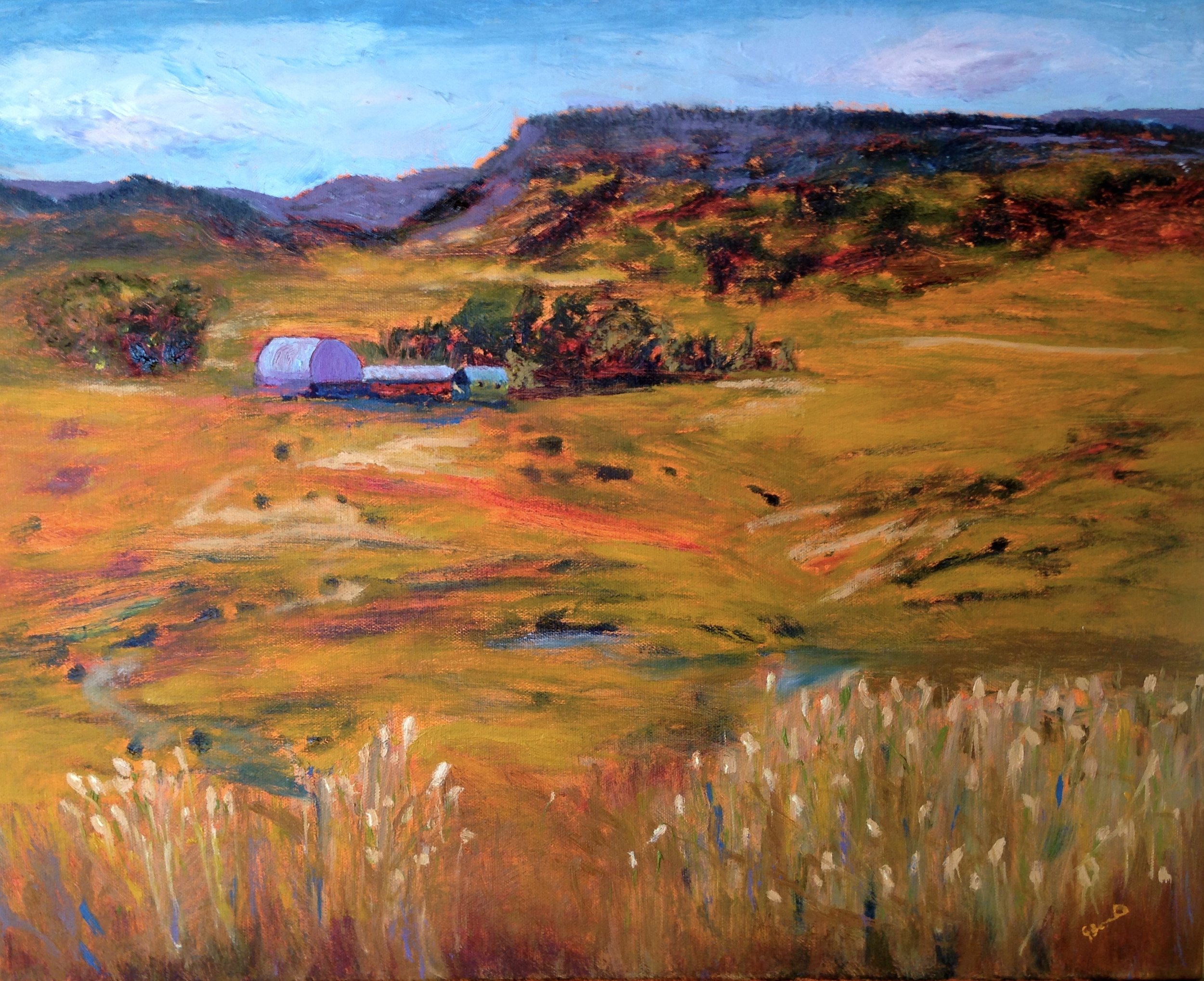 YAMPA VALLEY SUMMER