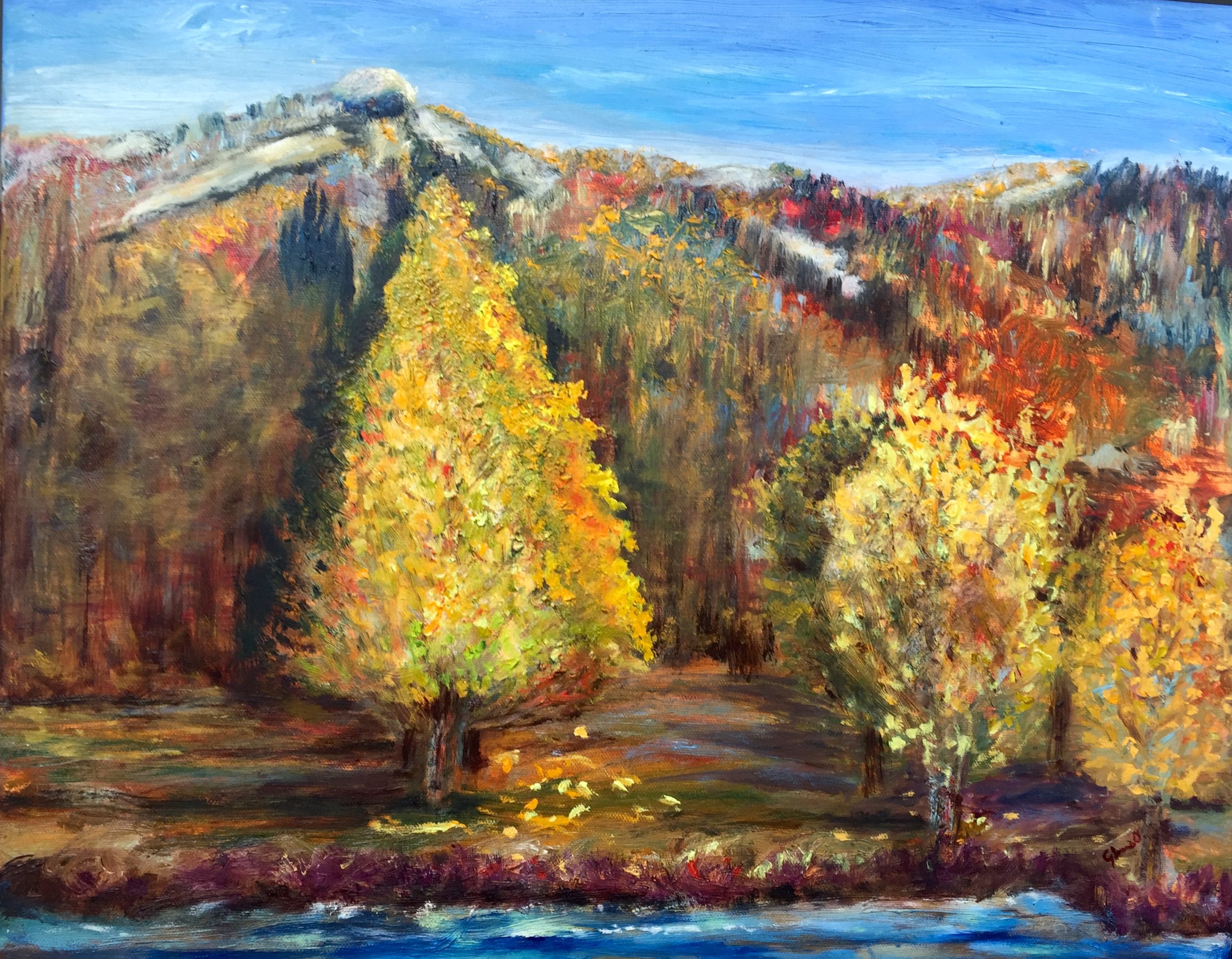 MOUNTAIN TINSEL