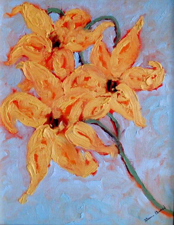 GLASIER LILY