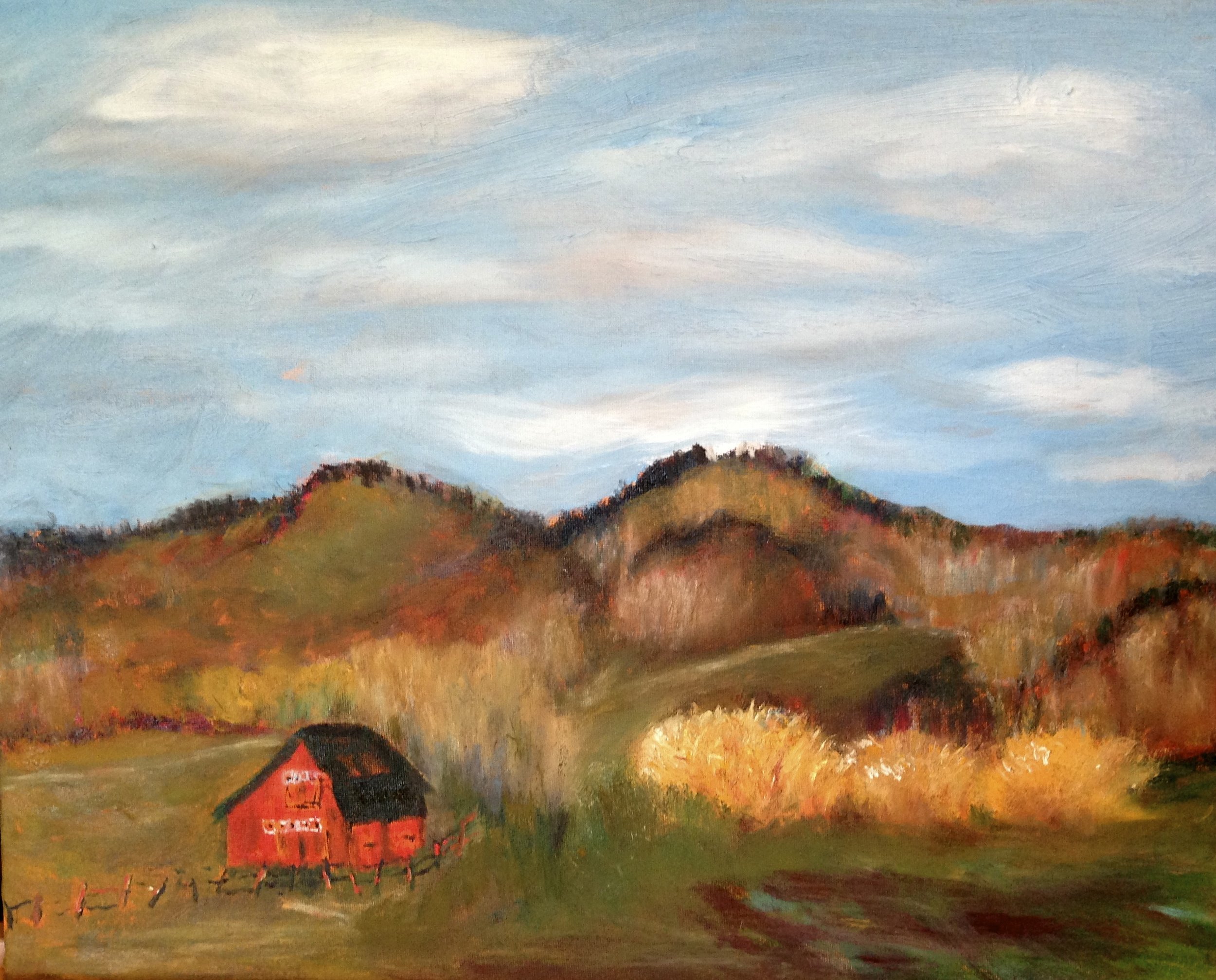 BARN AND THE WILLOWS