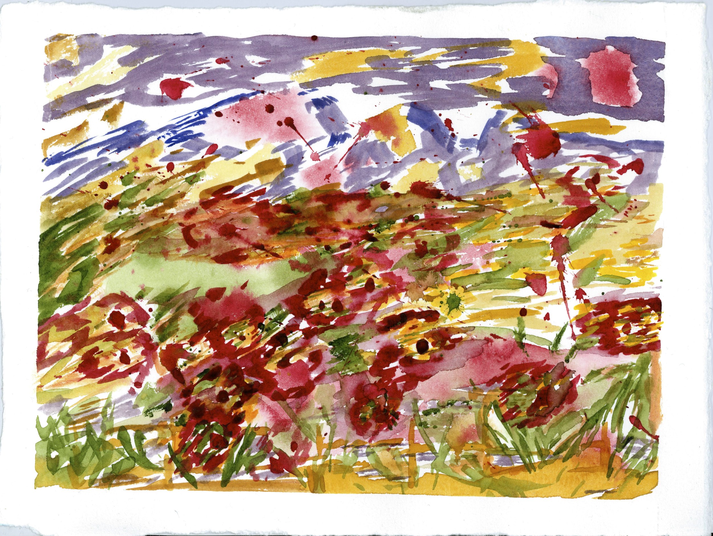 SUMMER SYMPHONY