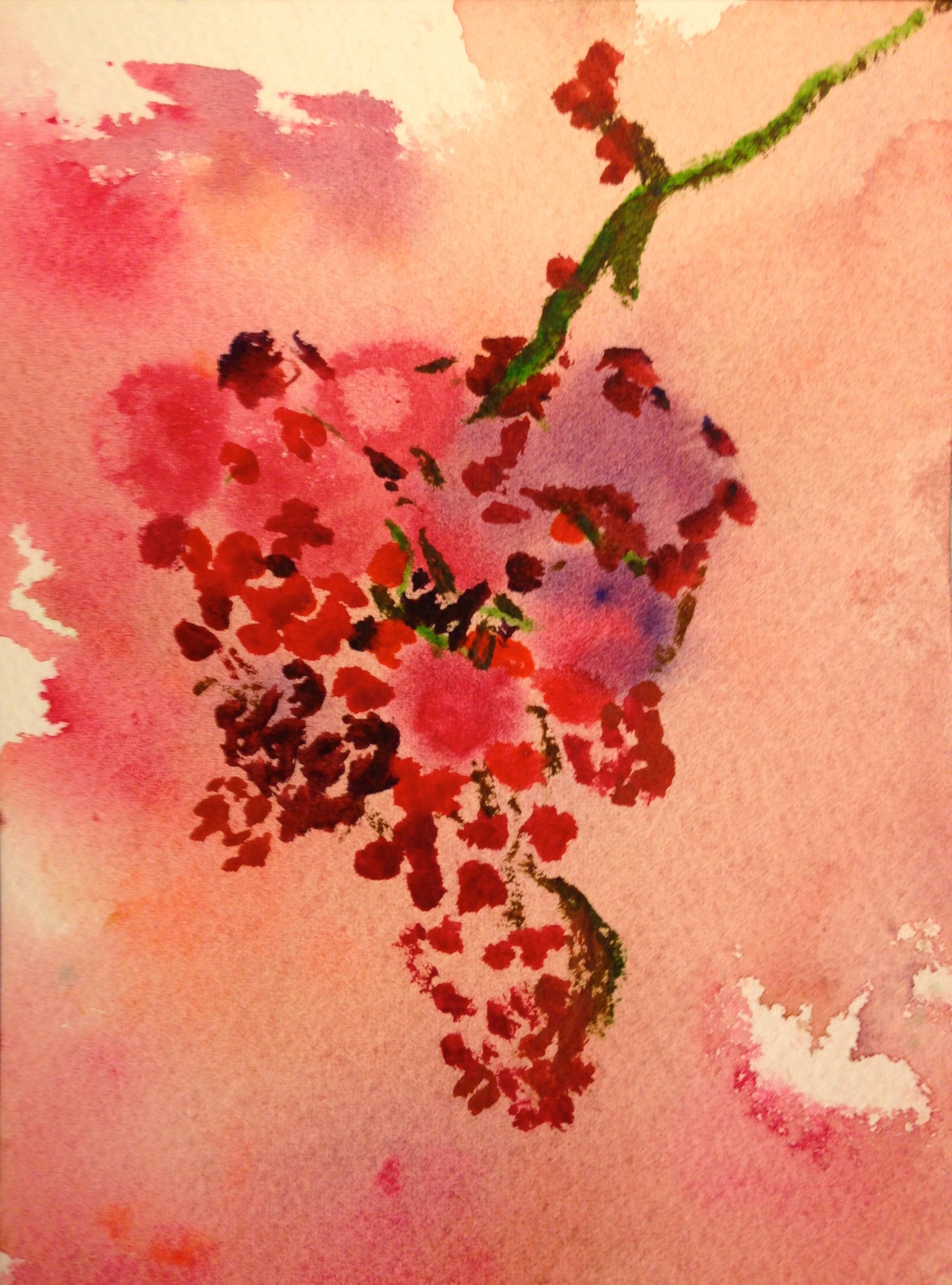 GRAPES