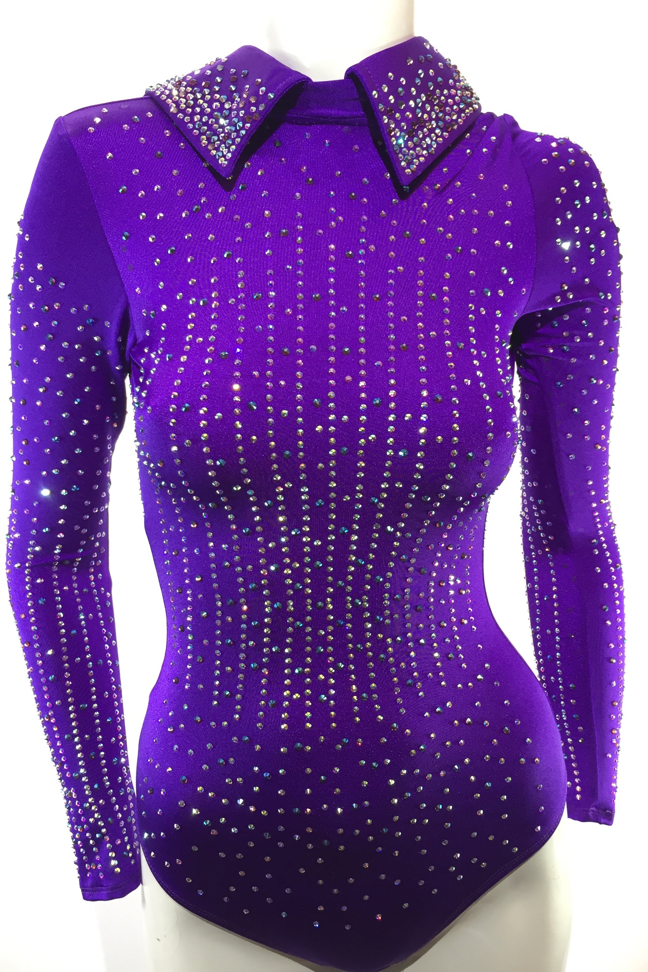 sparkle-ridge-western-show-clothes-purple-leo-with-stones-and-collar12.jpg