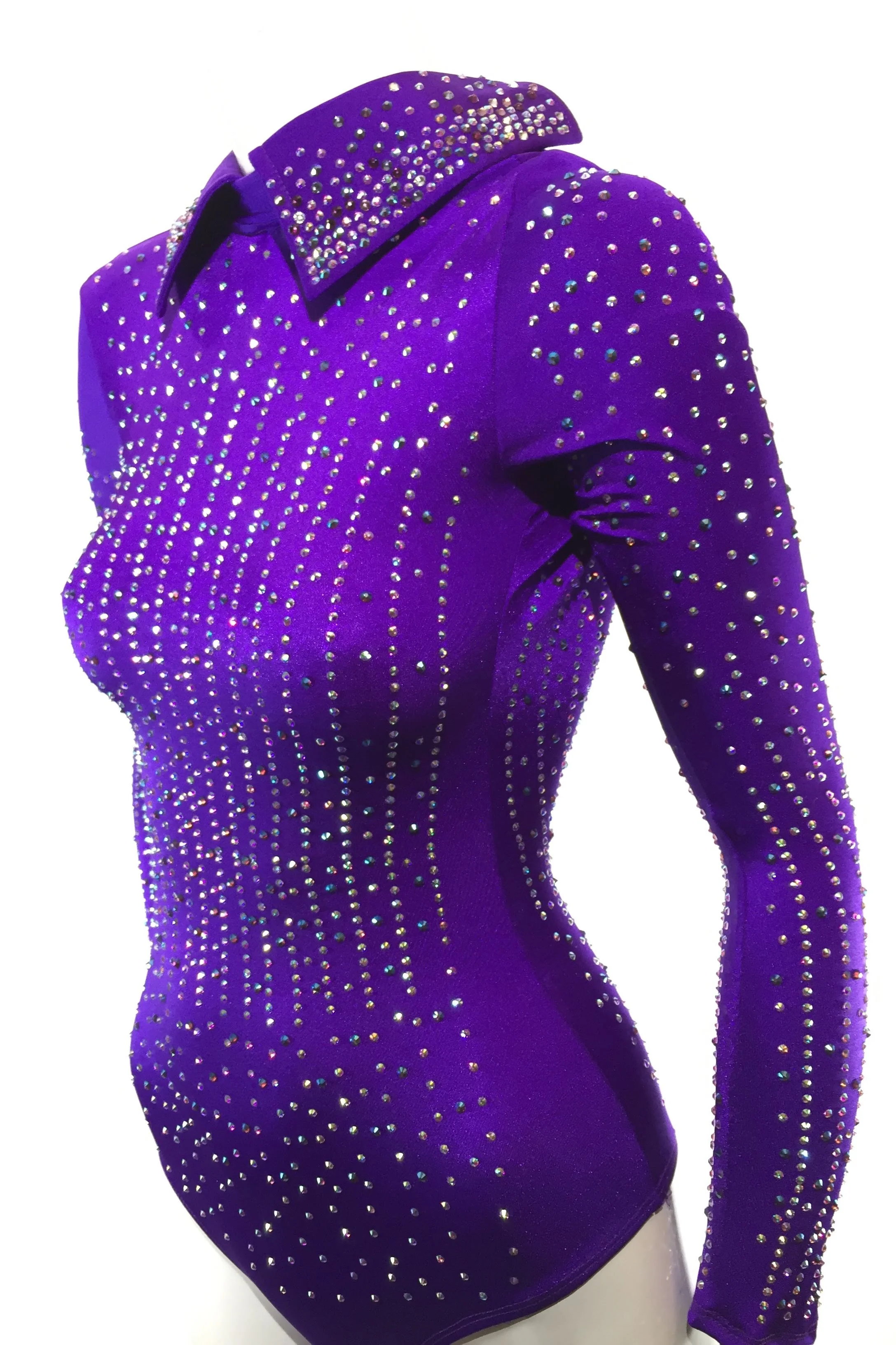 sparkle-ridge-western-show-clothes-purple-leo-with-stones-and-collar9.jpg