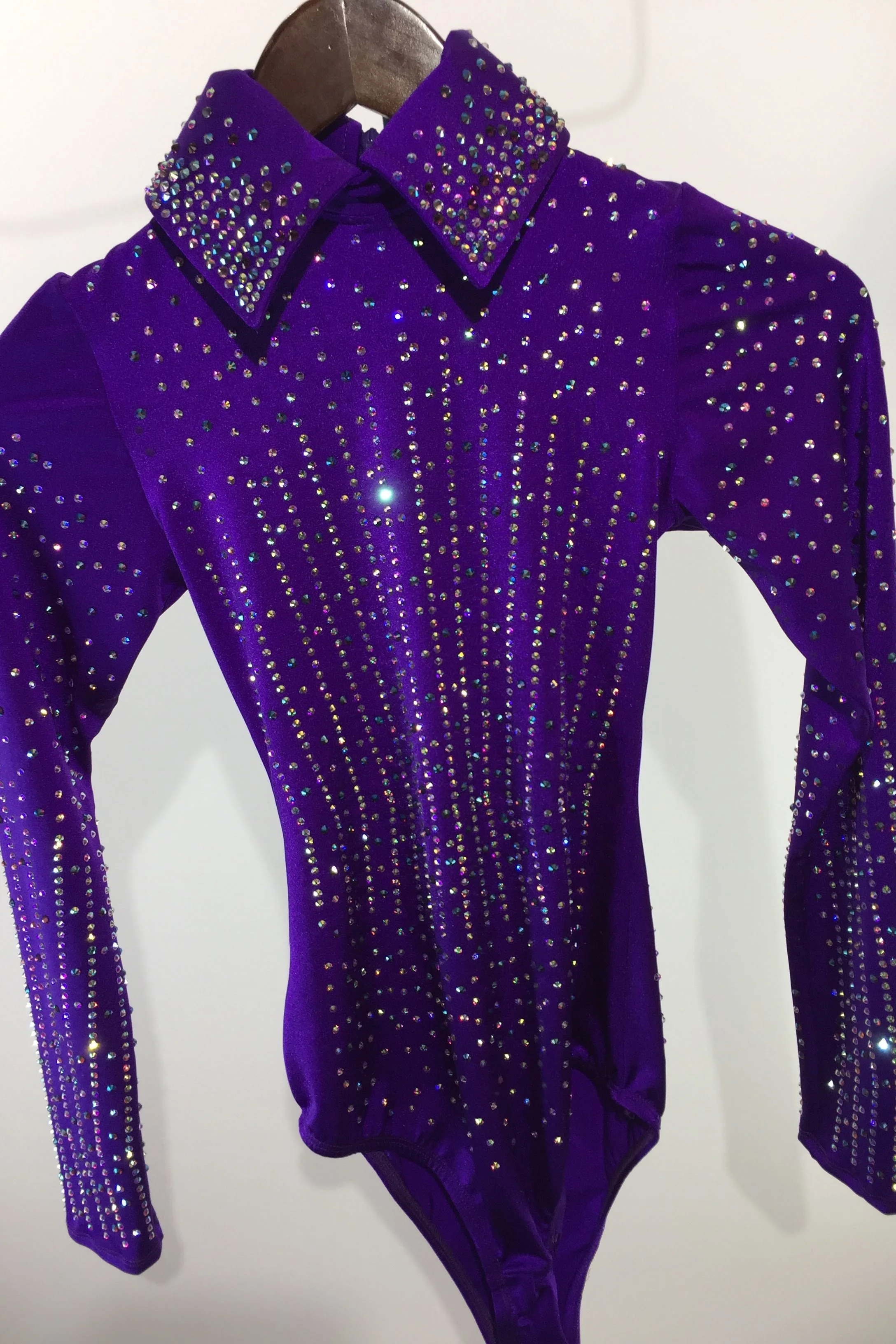 sparkle-ridge-western-show-clothes-purple-leo-with-stones-and-collar.jpg