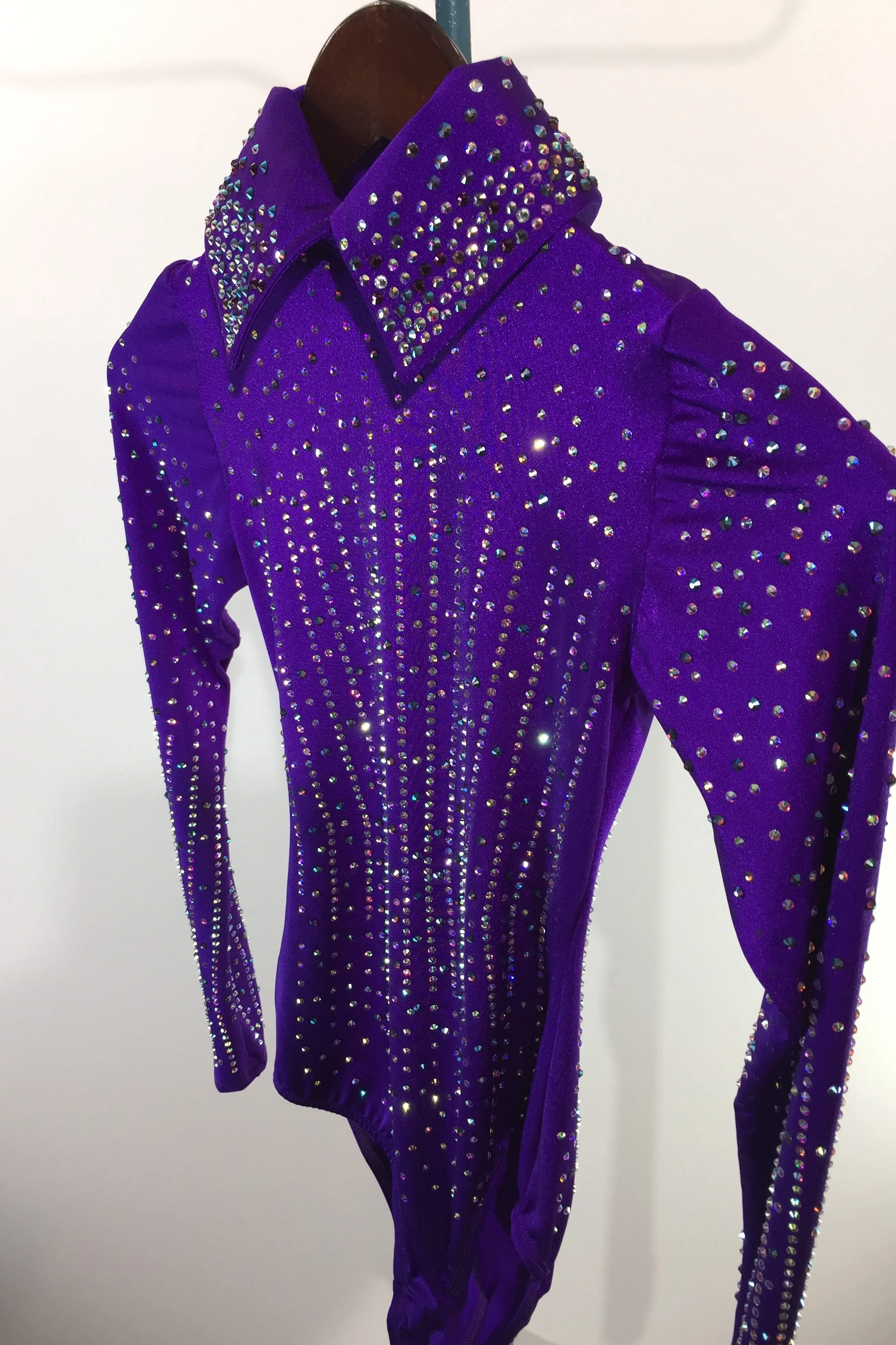 sparkle-ridge-western-show-clothes-purple-leo-with-stones-and-collar2.jpg