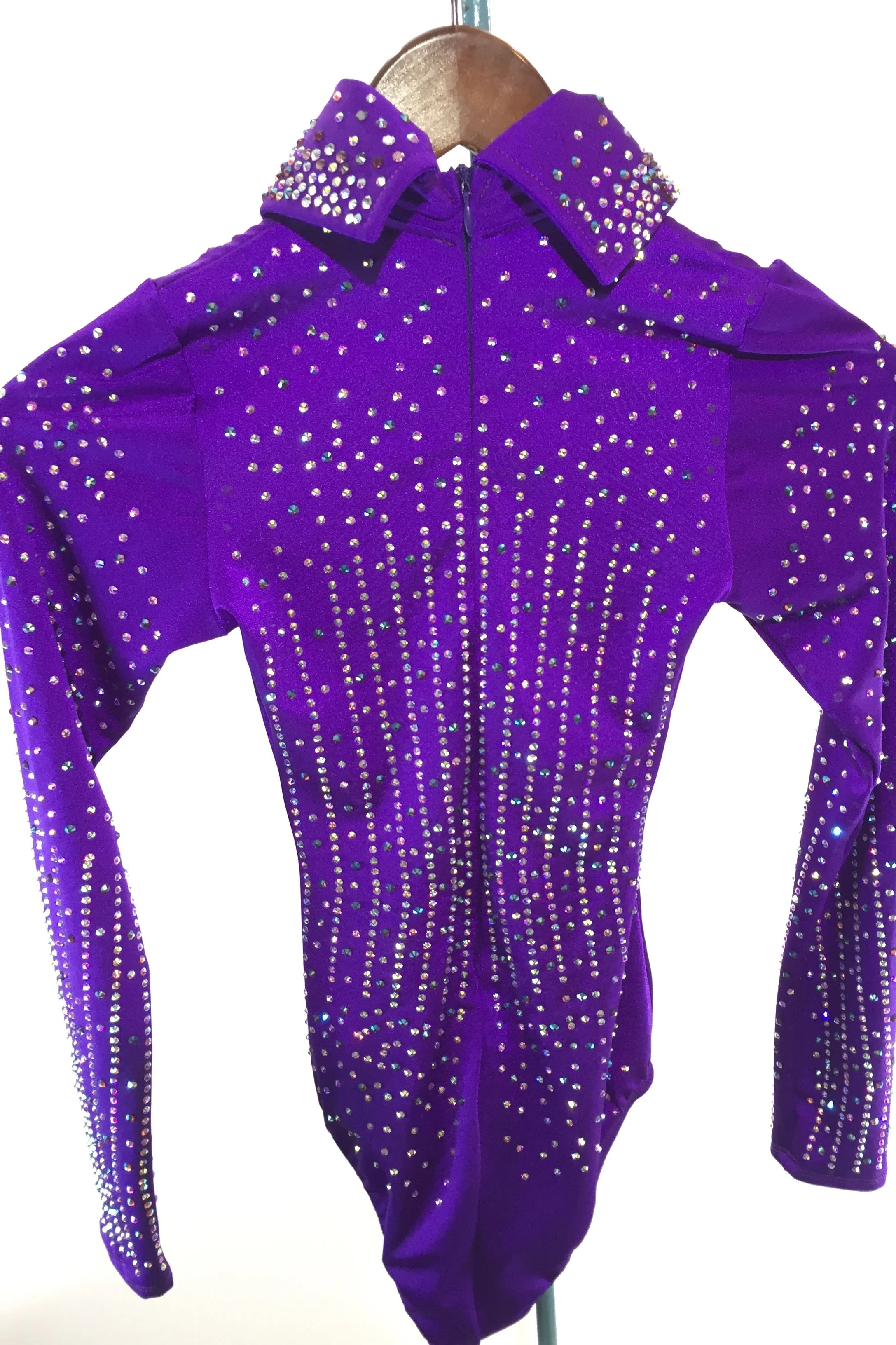 sparkle-ridge-western-show-clothes-purple-leo-with-stones-and-collar5.jpg