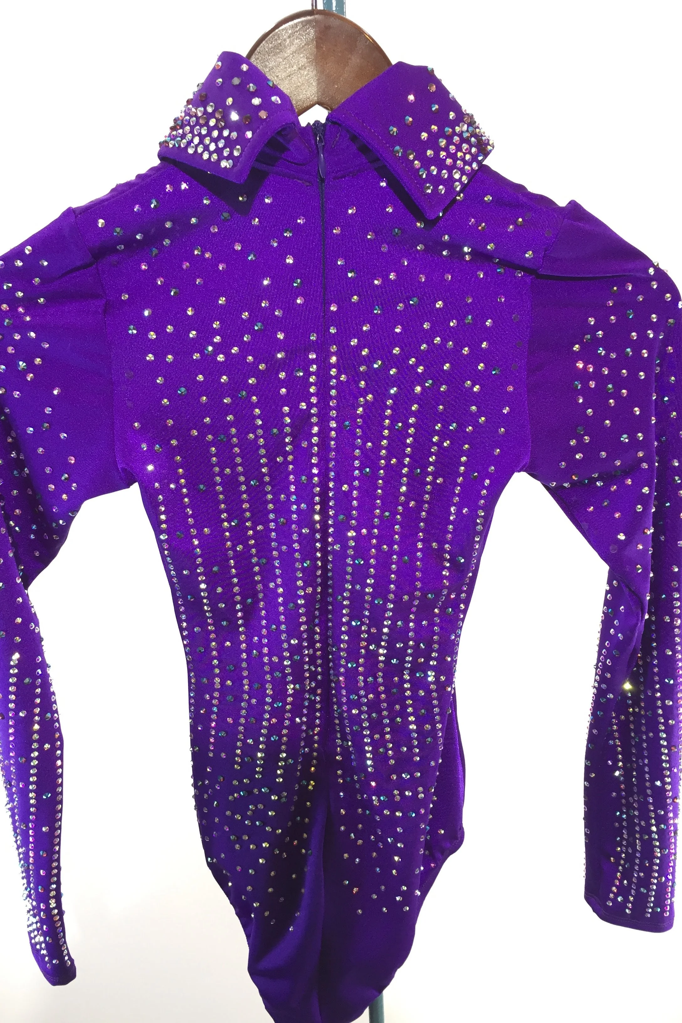 sparkle-ridge-western-show-clothes-purple-leo-with-stones-and-collar4.jpg