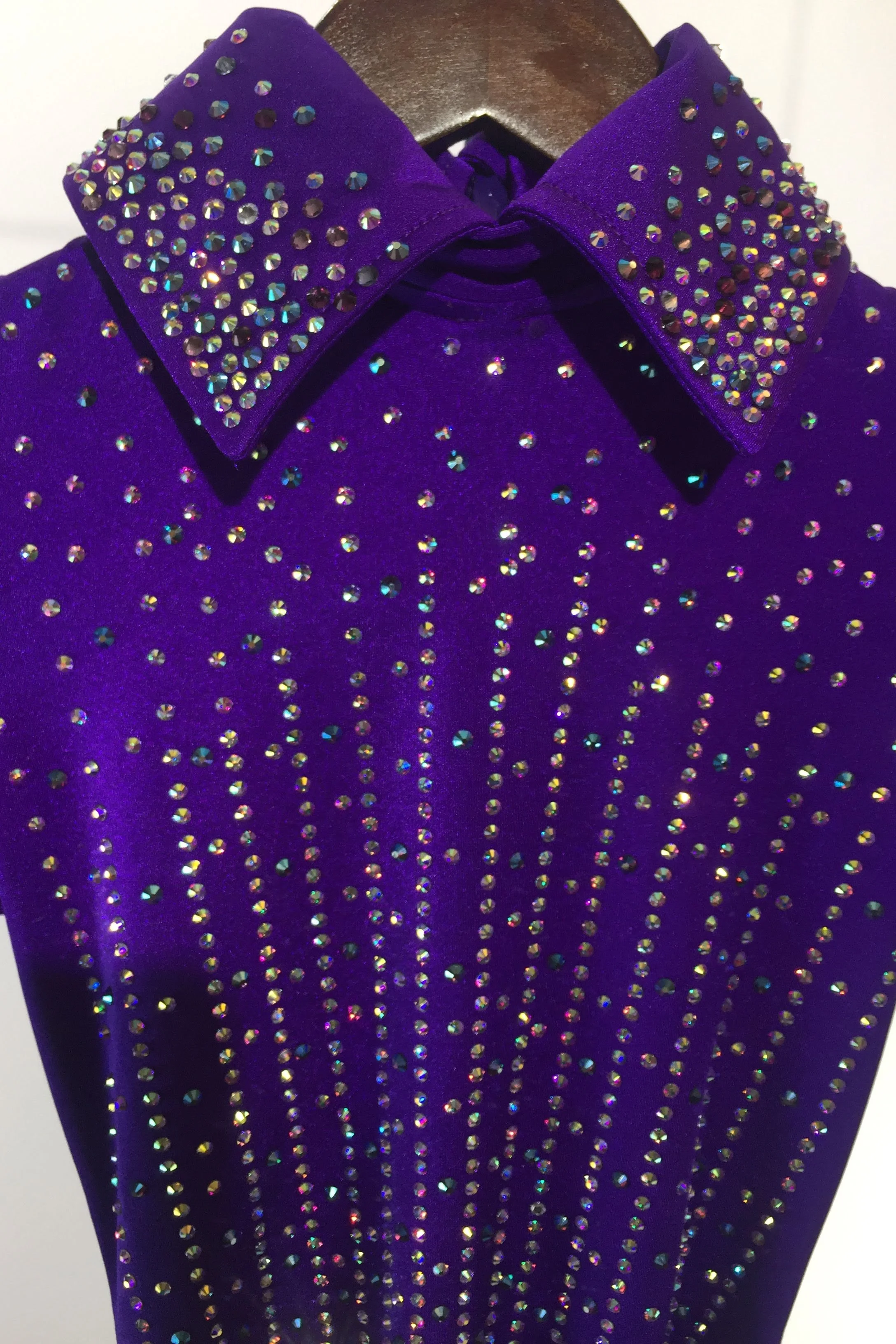 sparkle-ridge-western-show-clothes-purple-leo-with-stones-and-collar7.jpg