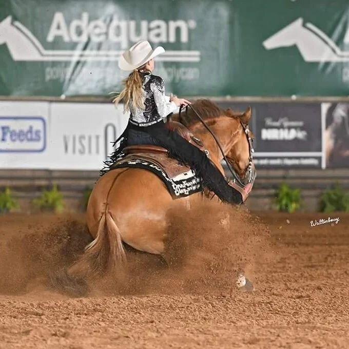 One sliding stop closer to life long goals. #sparkleridge #horse #showhorse