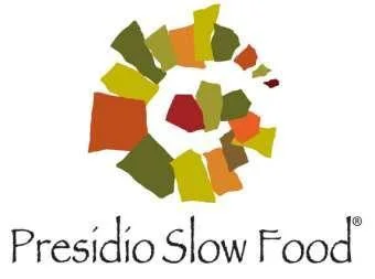 logo-presidio.jpg