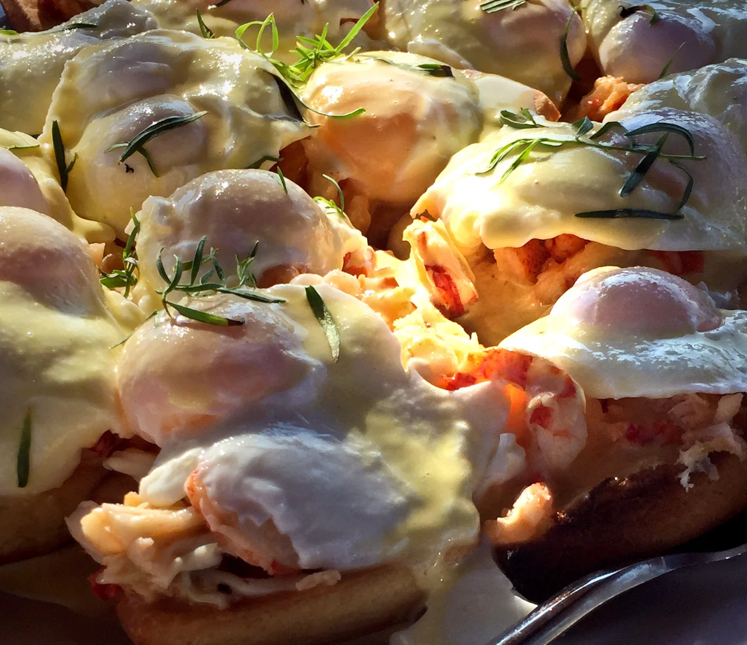 Breakfast lobster Benedict for those who don't get their fill during the lobster bake.