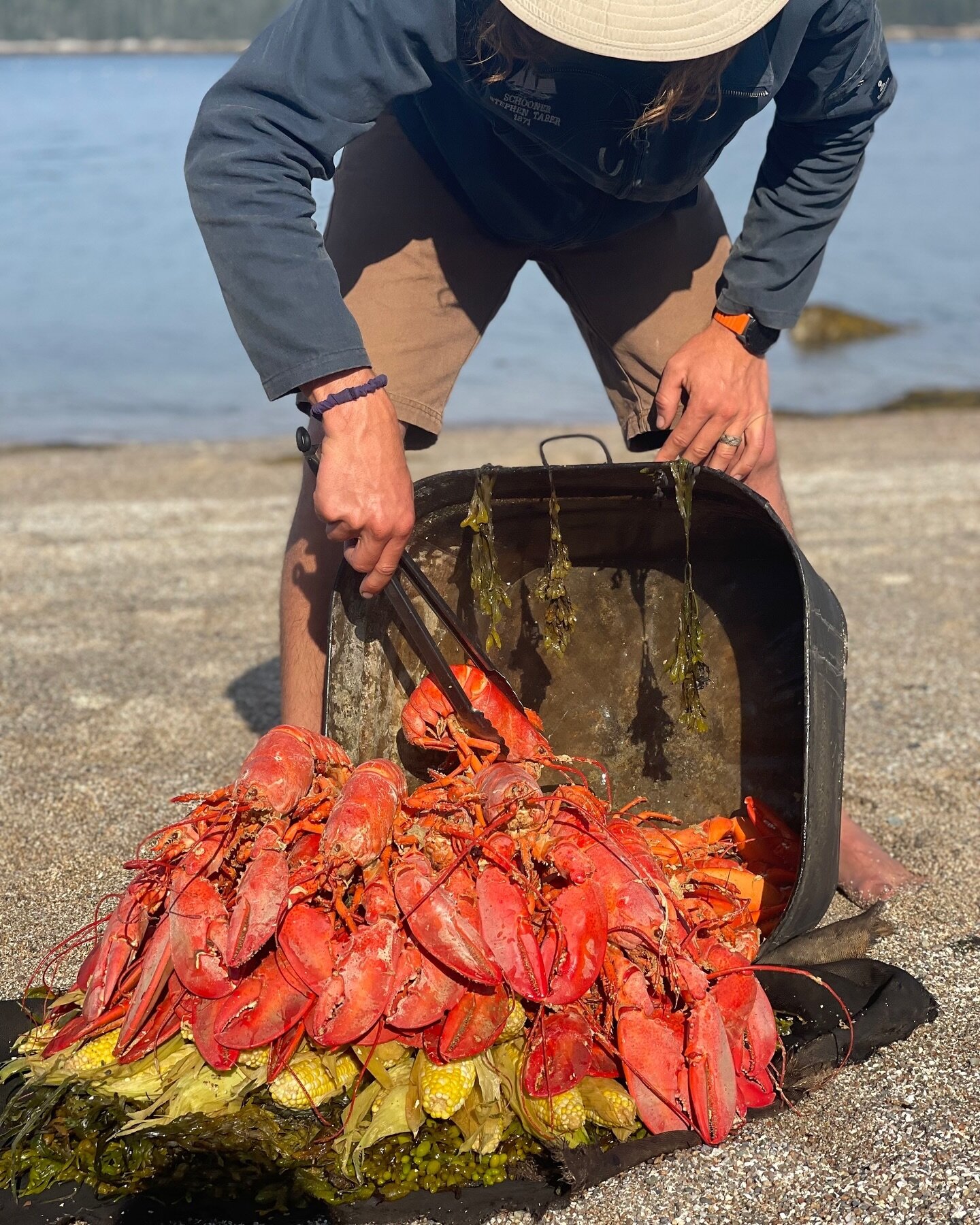 A picture is worth a thousand calories.
.
#lobsterbake 
#mmmbutter
#thisiswindjamming
.