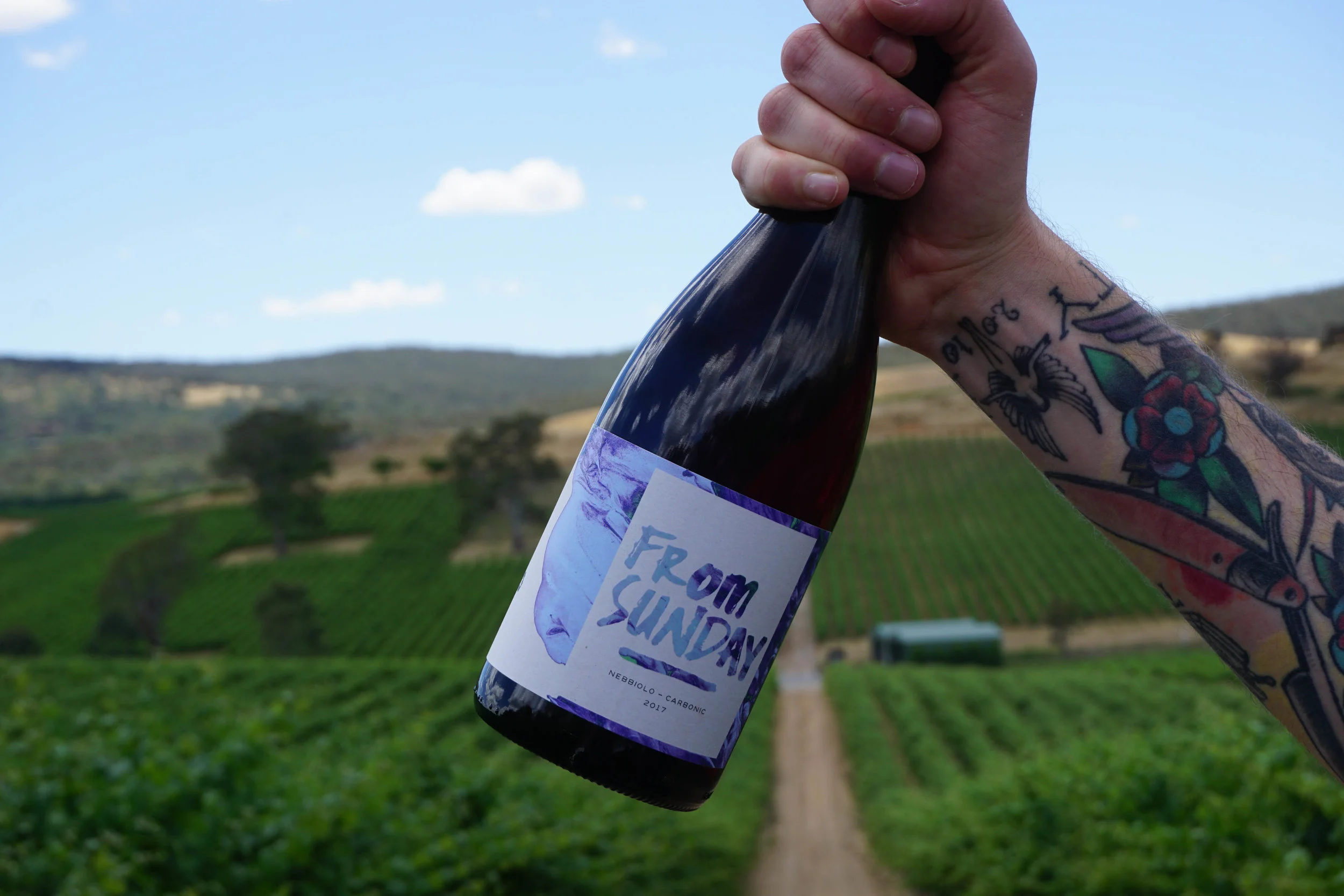 Wine Enterprises-5.jpg