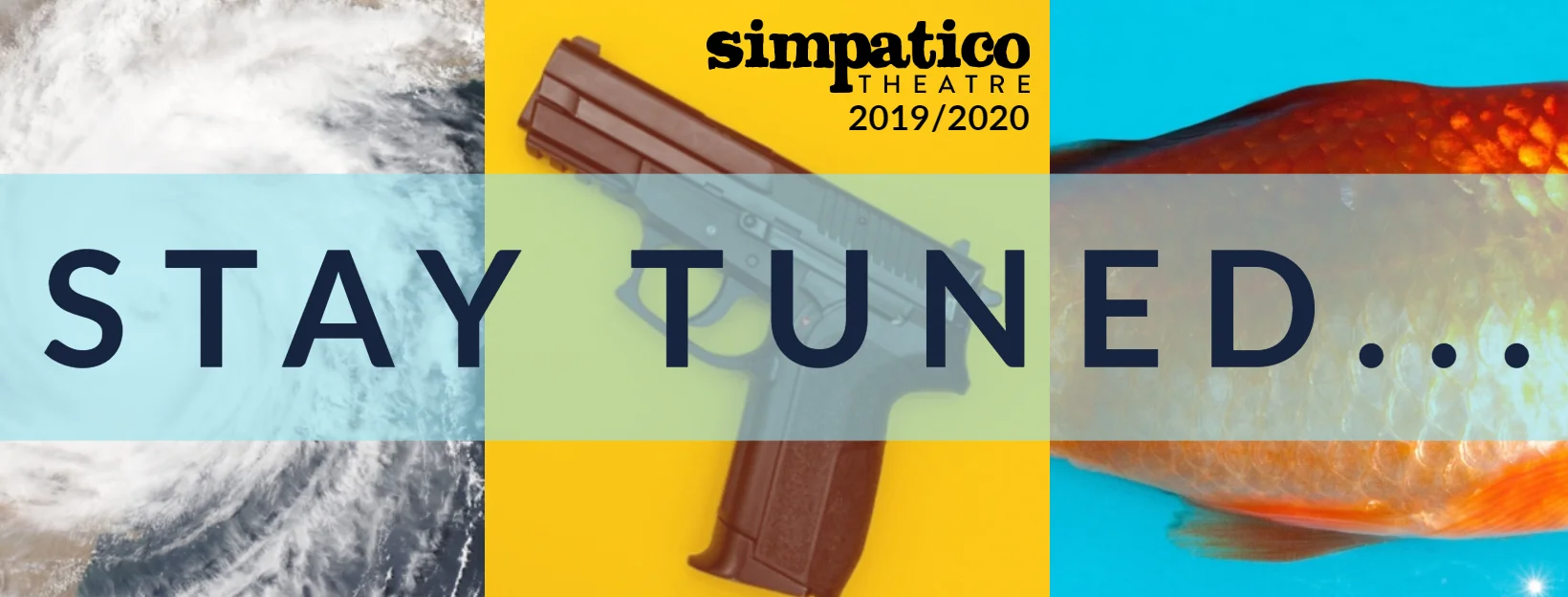 Teaser Banner.jpg