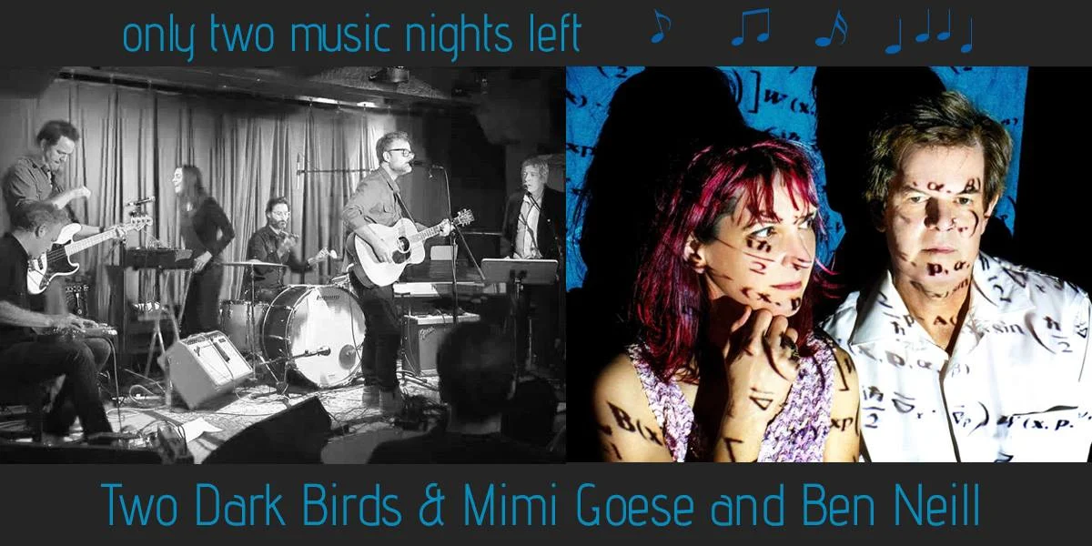 HVSS Music Night Fri Jan 26: Two Dark Birds + Mimi Goese