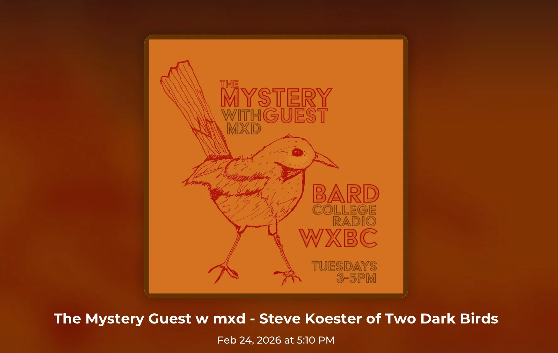 Radio Interview: Steve on The Mystery Guest with MXD 