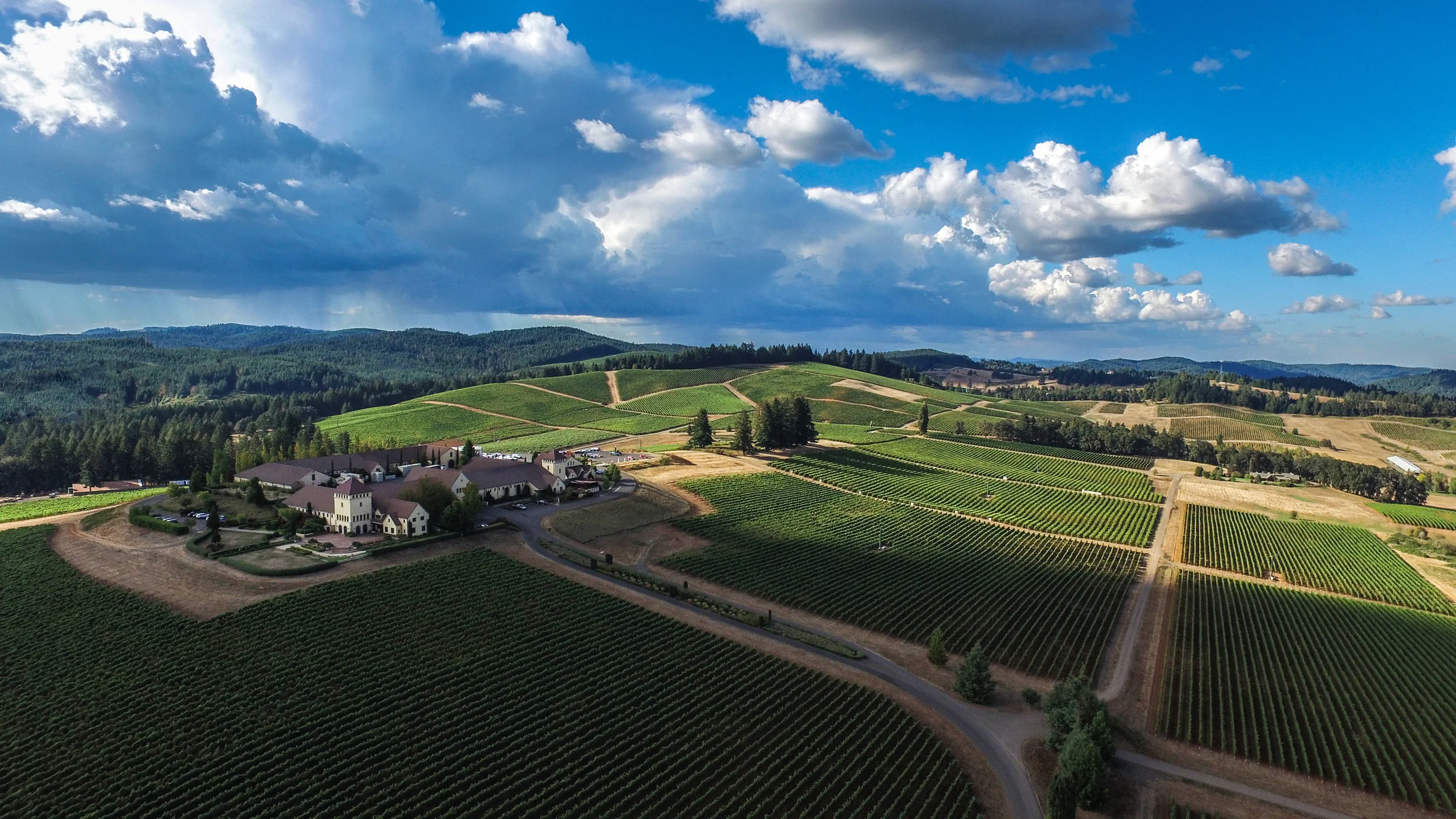 DJI_0596 corrected-Recovered.jpg