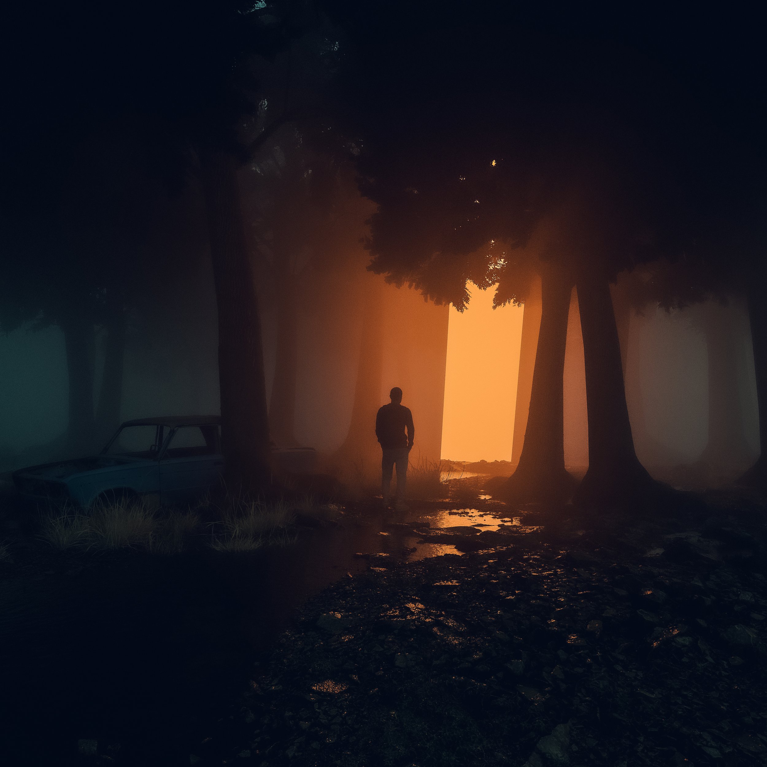 woods-Edit-Edit.jpg