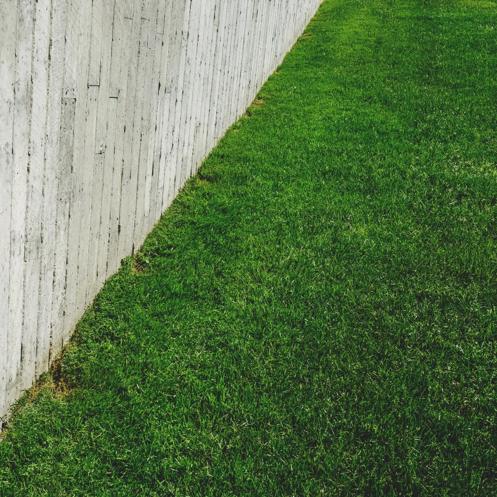 Why putting your feet on grass (grounding) is so good for you 