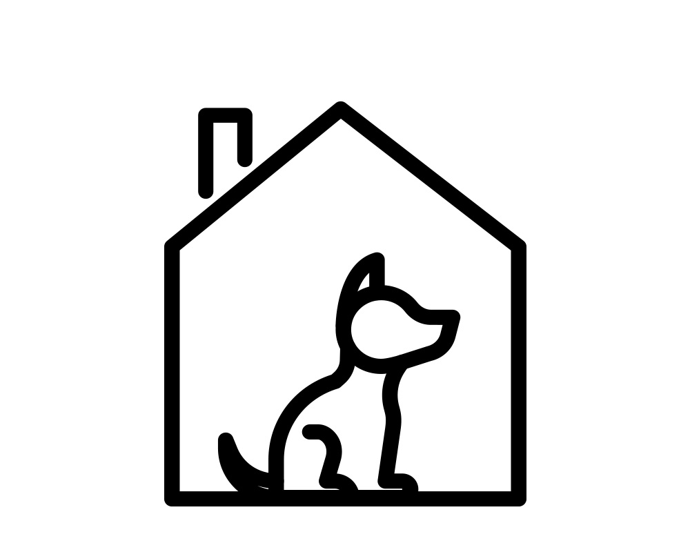 centred-dog.jpg