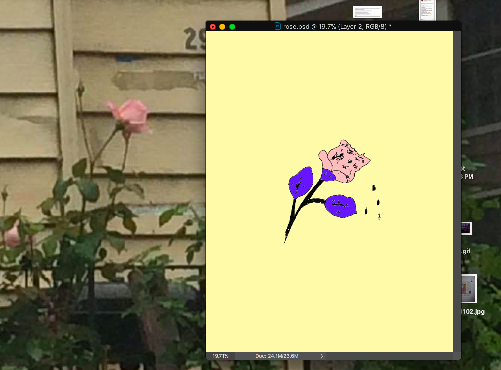 Screen Shot 2018-11-25 at 5.08.27 PM.png