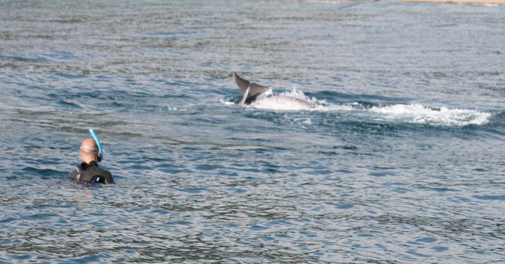 mozambique - marine conservation. (8).jpg