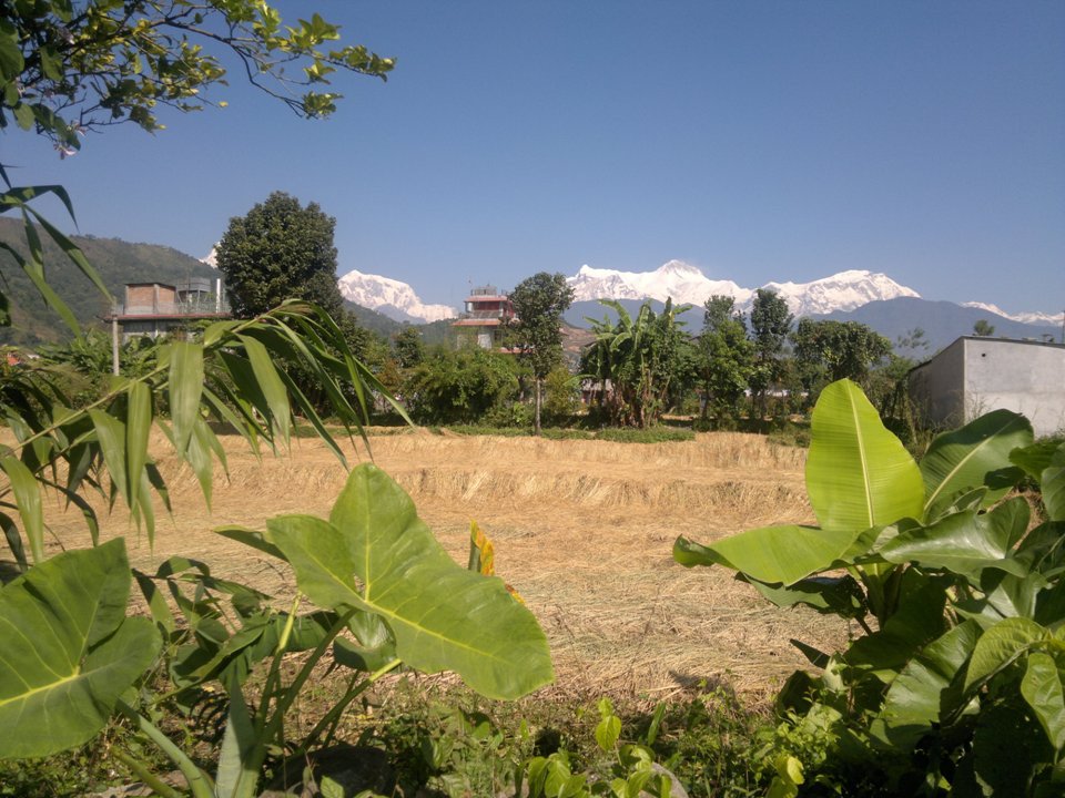 nepal conservation.jpg