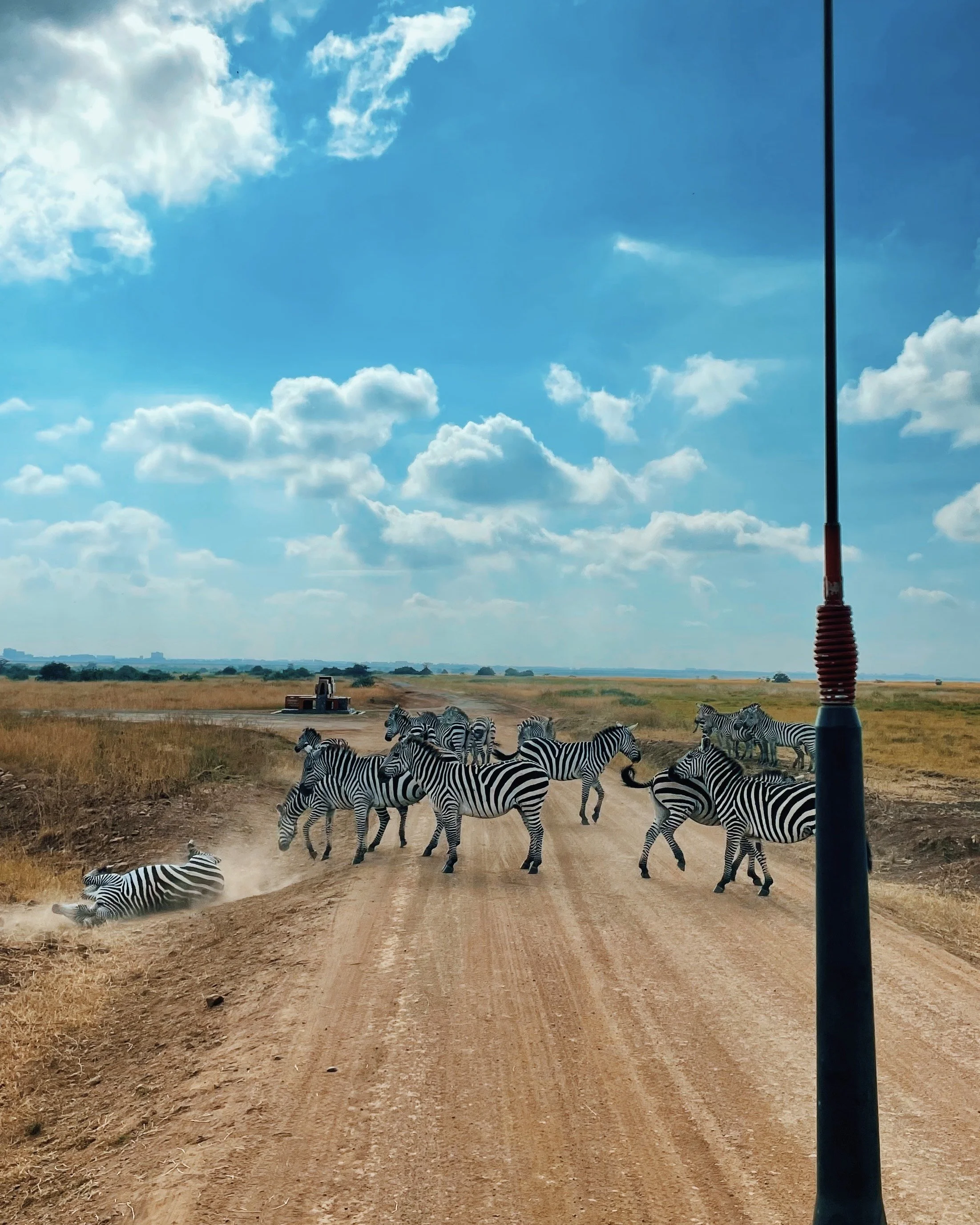 Kenya - Kelly MacInnis 10.JPG