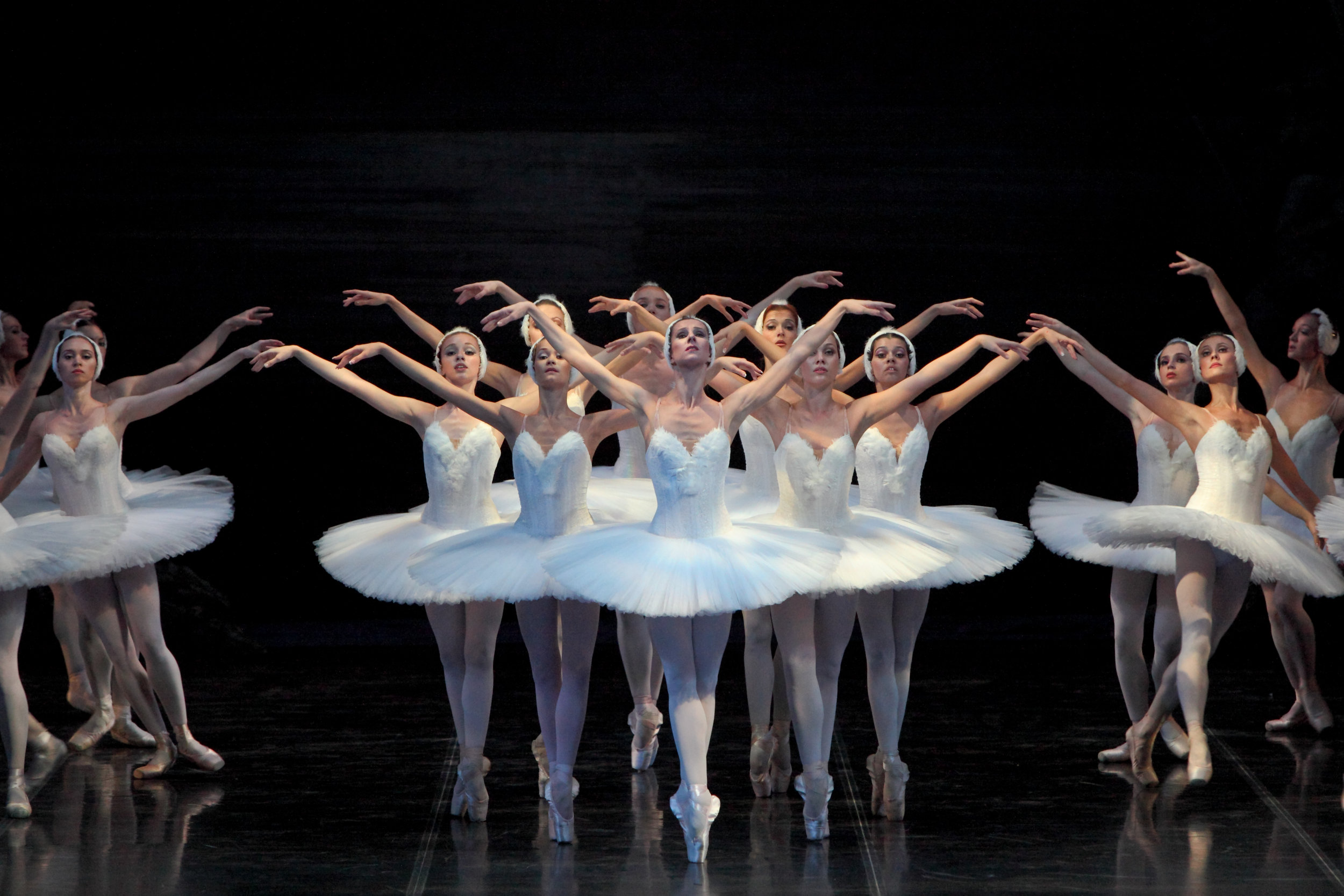 Swan Lake Makarova 2010_10_06 7.jpg