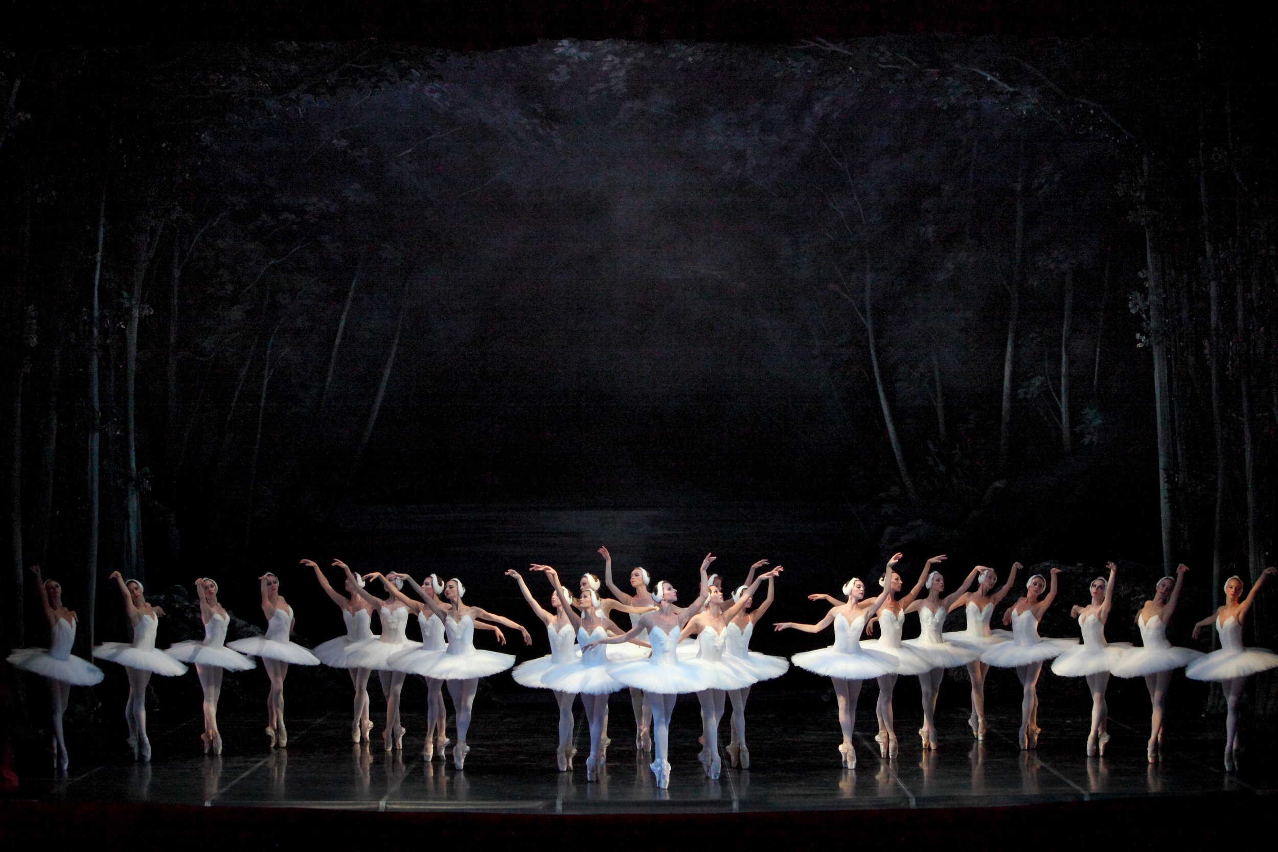 Swan Lake Makarova 2010_10_06 8.jpg