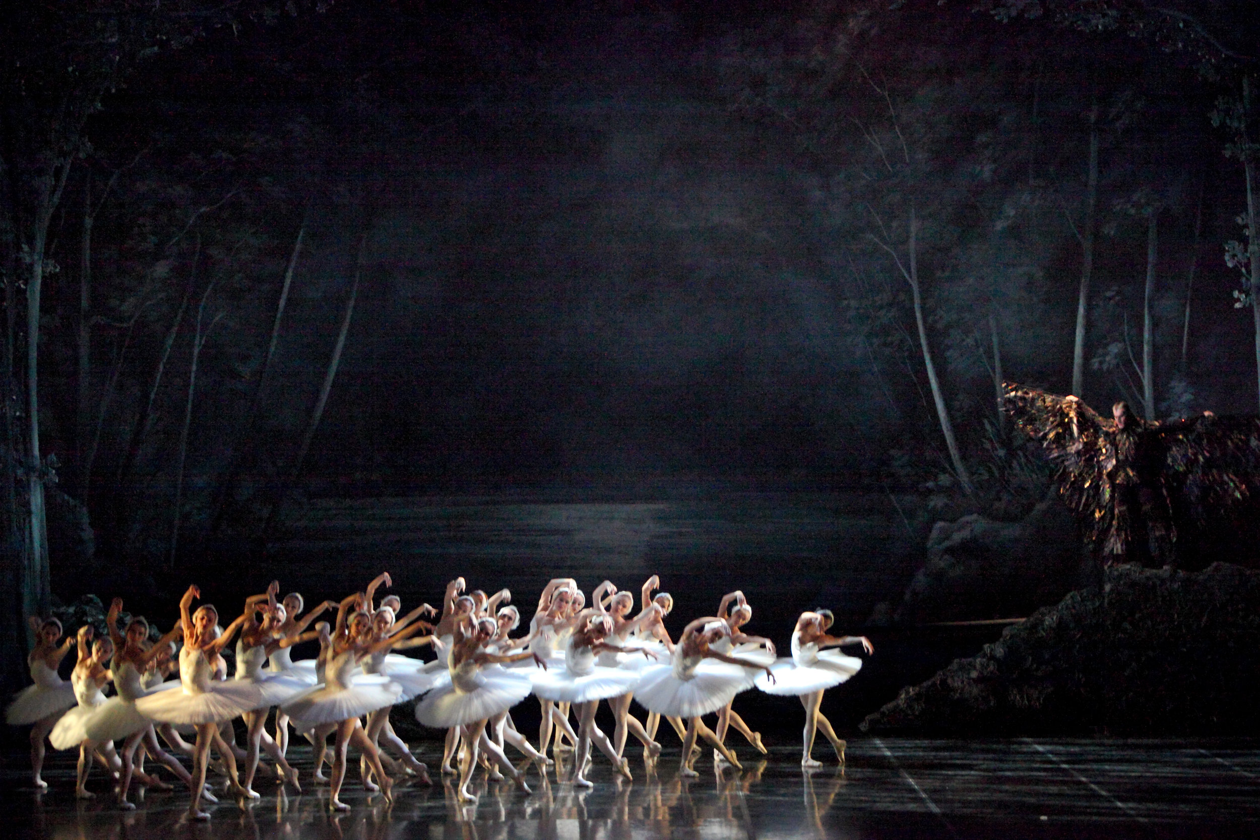 Swan Lake Makarova 2010_10_06 3.jpg