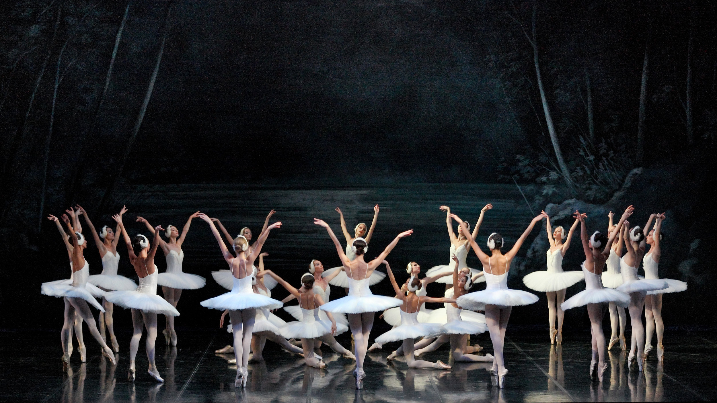 Swan Lake Makarova 2011 1 2012.jpg