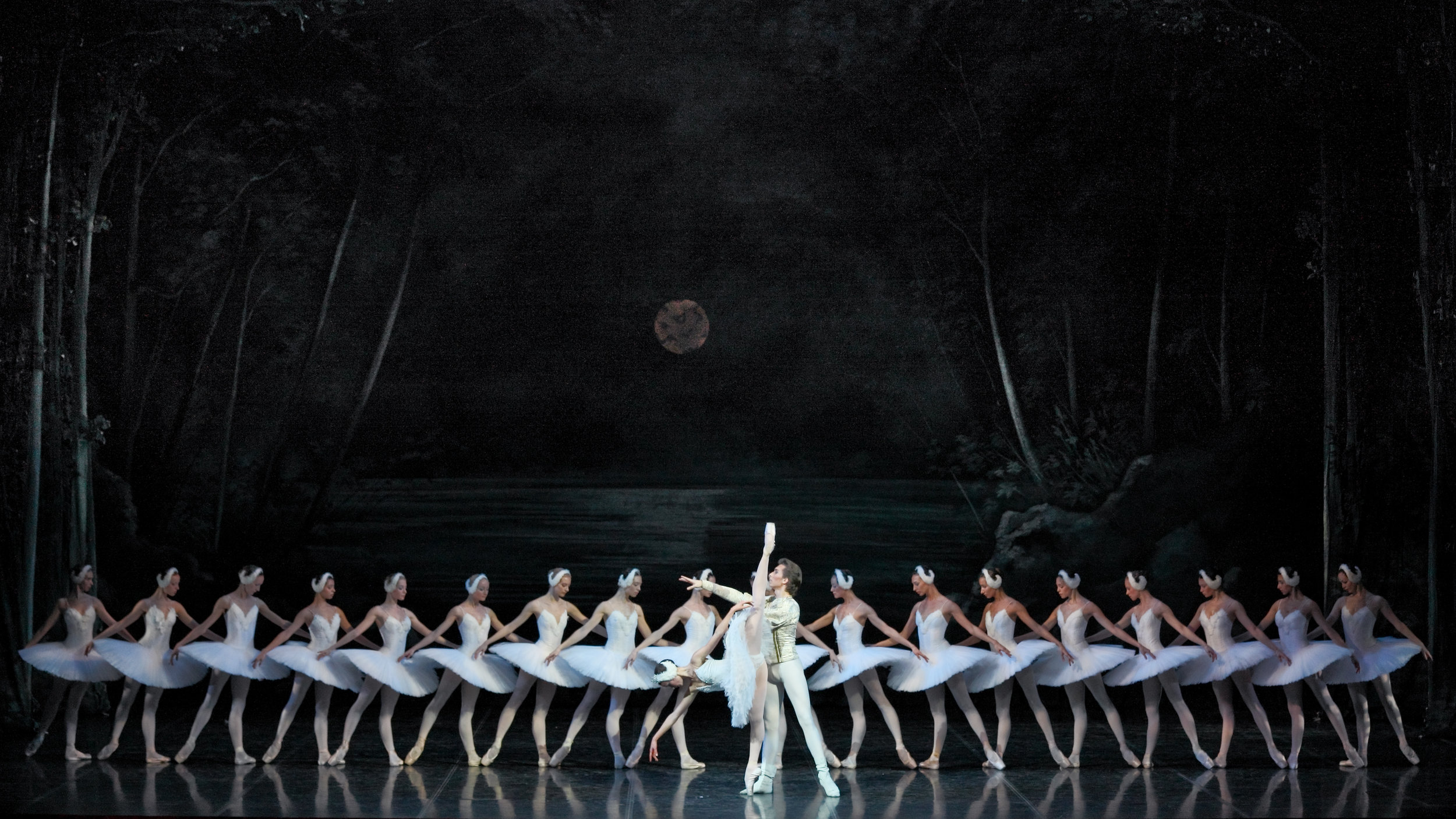 Swan Lake Makarova 2011 1 2013.jpg