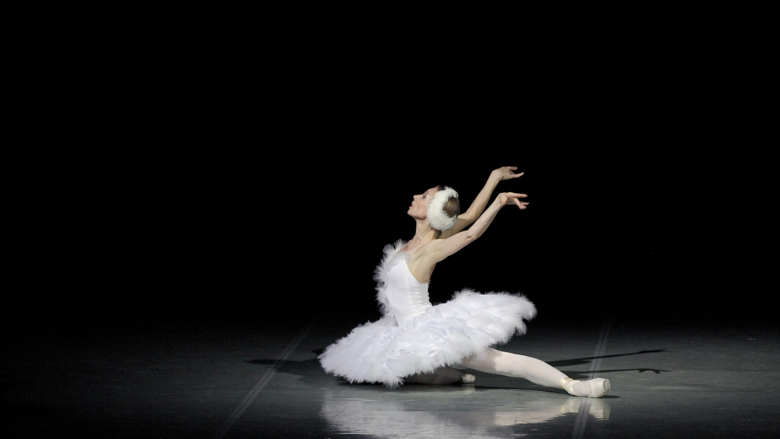 Swan Lake Makarova 2011 1.jpg