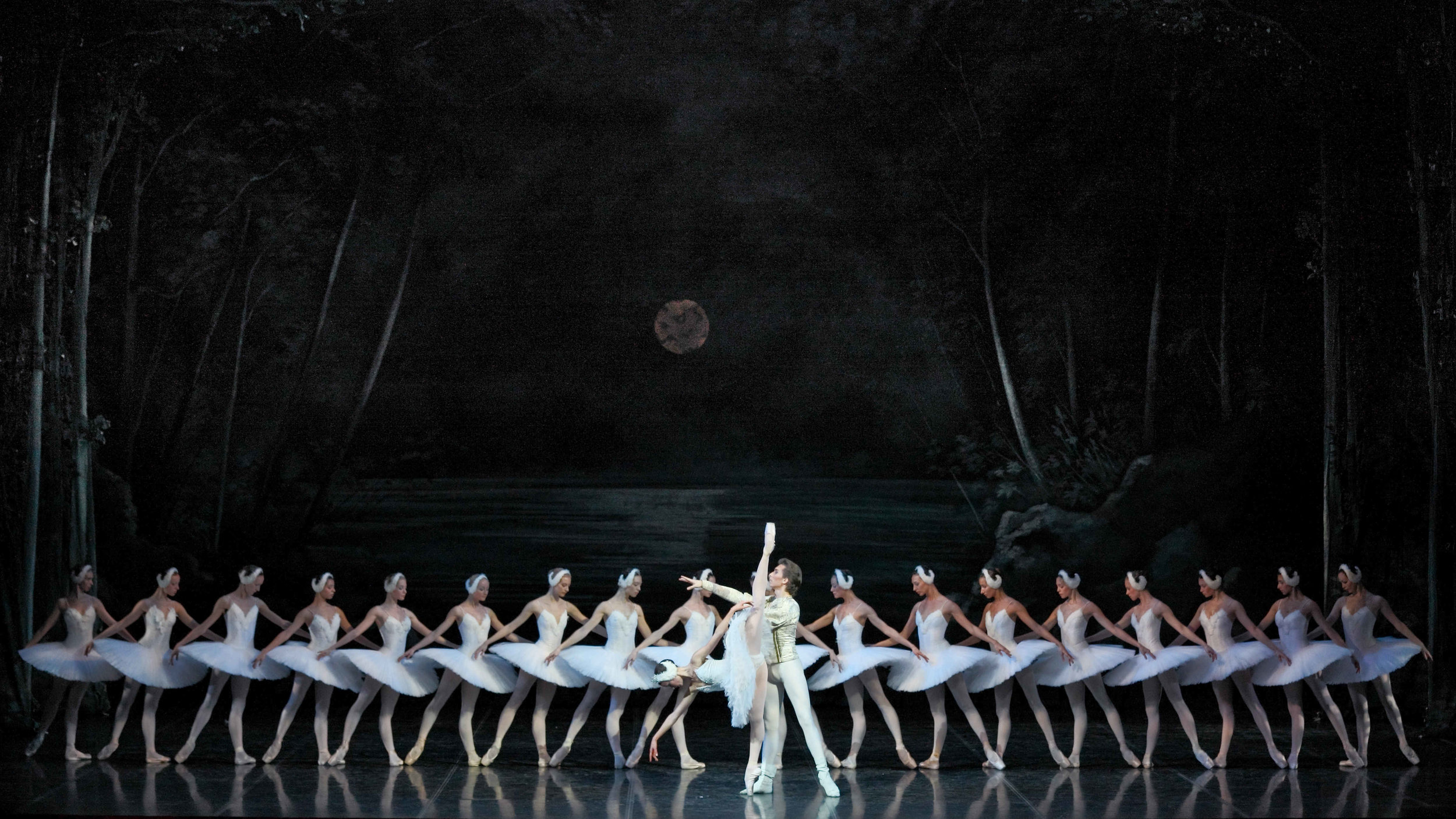 SWAN LAKE