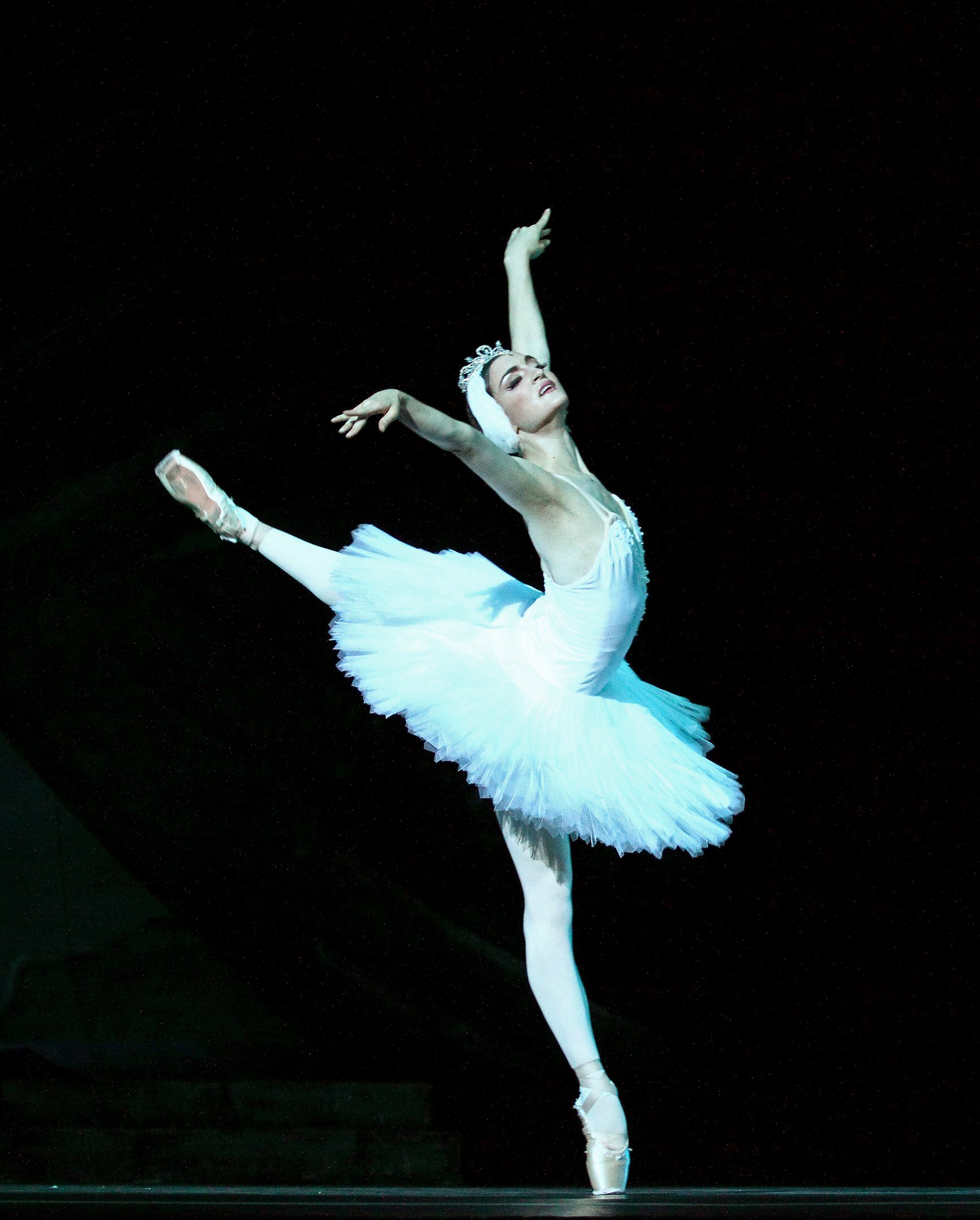 Swan Lake 8.jpg