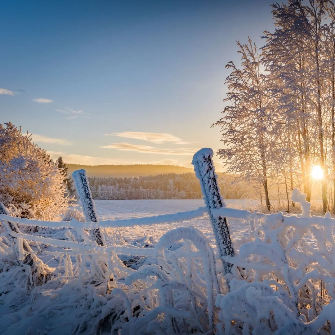  3 Things I'm Loving This Week - December 6th 